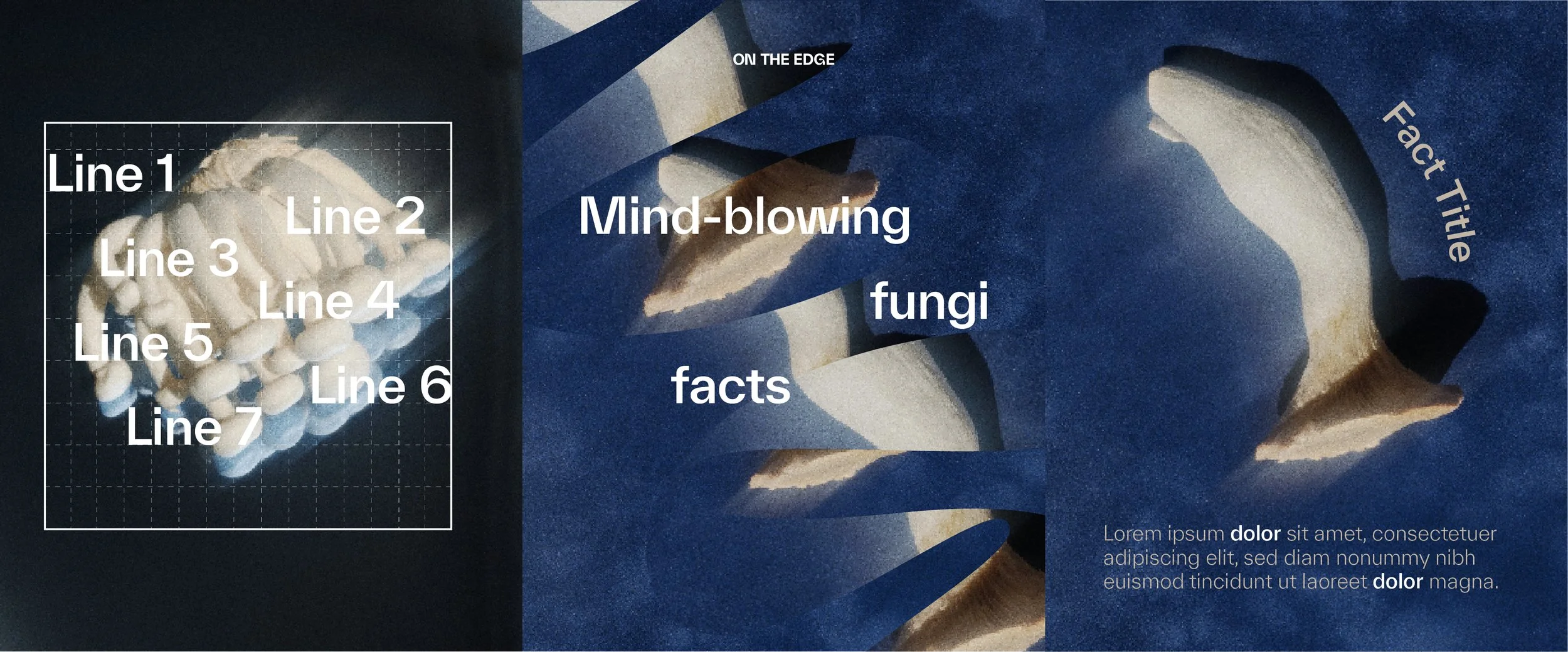 OTE_SM_template 02@1.5x-100.jpg