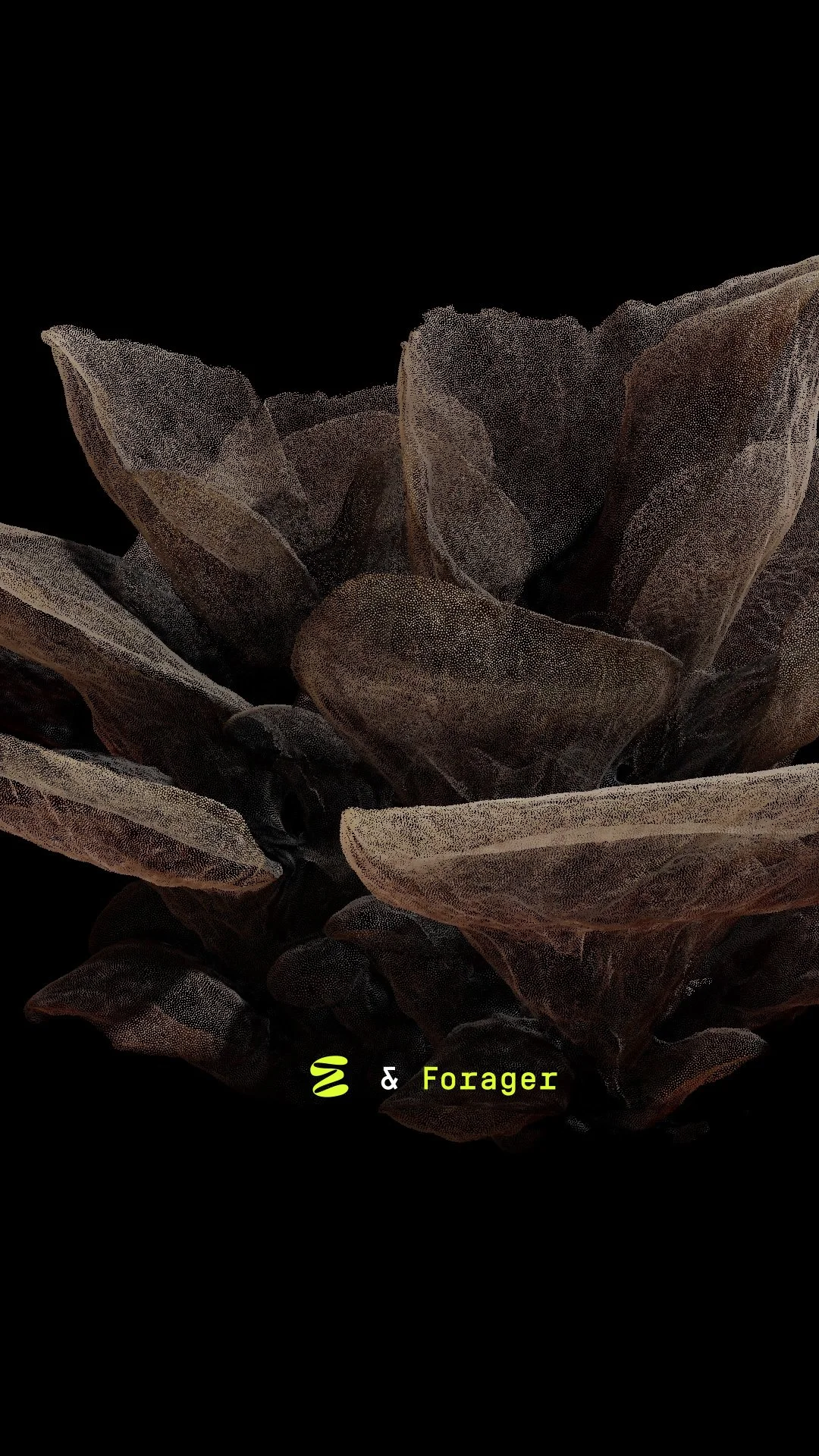 MM0323_Post 10_BTS Forager_thumbnail v01.jpg