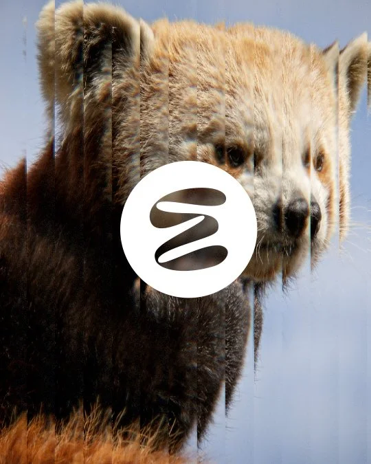 OTE_rebrand_E icon_v03_distort.jpg
