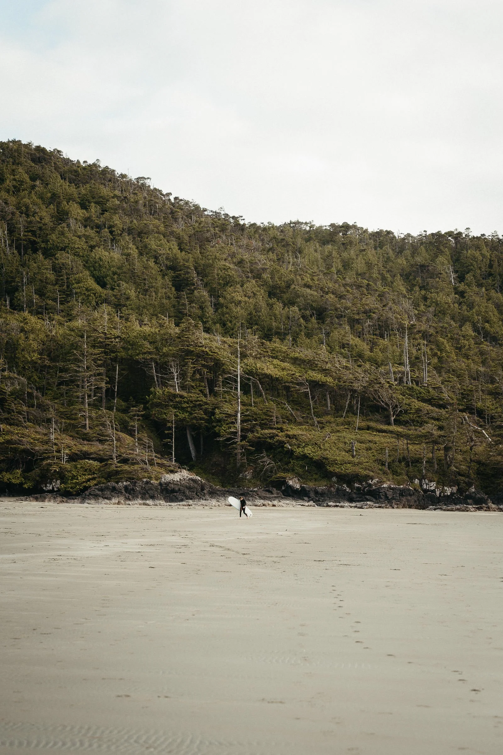 230730_Vancouver_Island_Tofino-0382.jpg