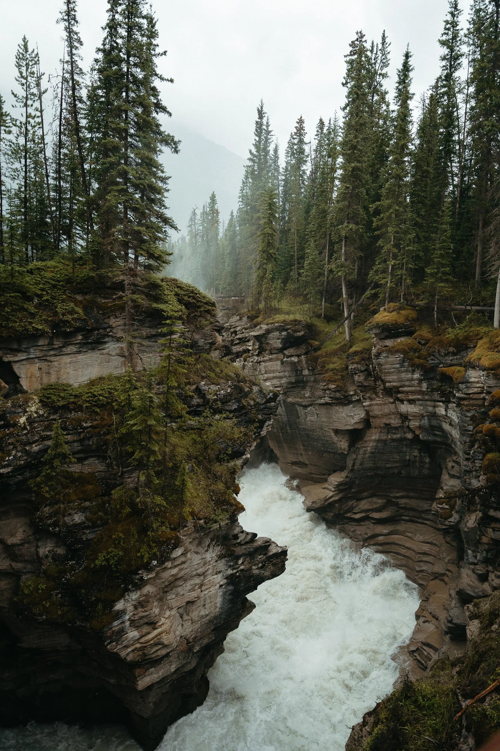 230717_Jasper_National_Park-108.jpg