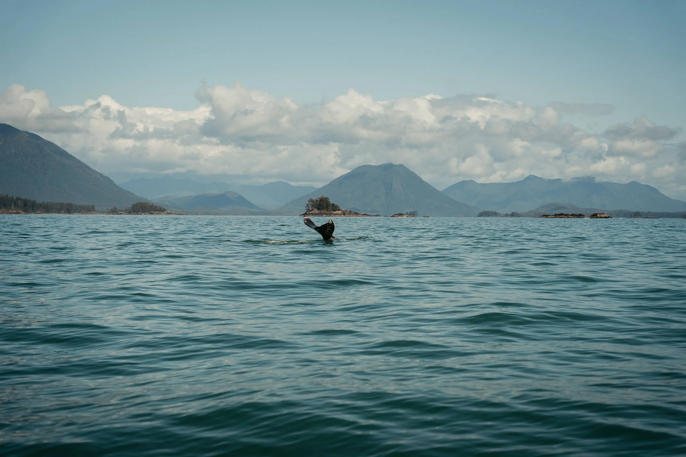 230730_Vancouver_Island_Tofino-0140.jpg