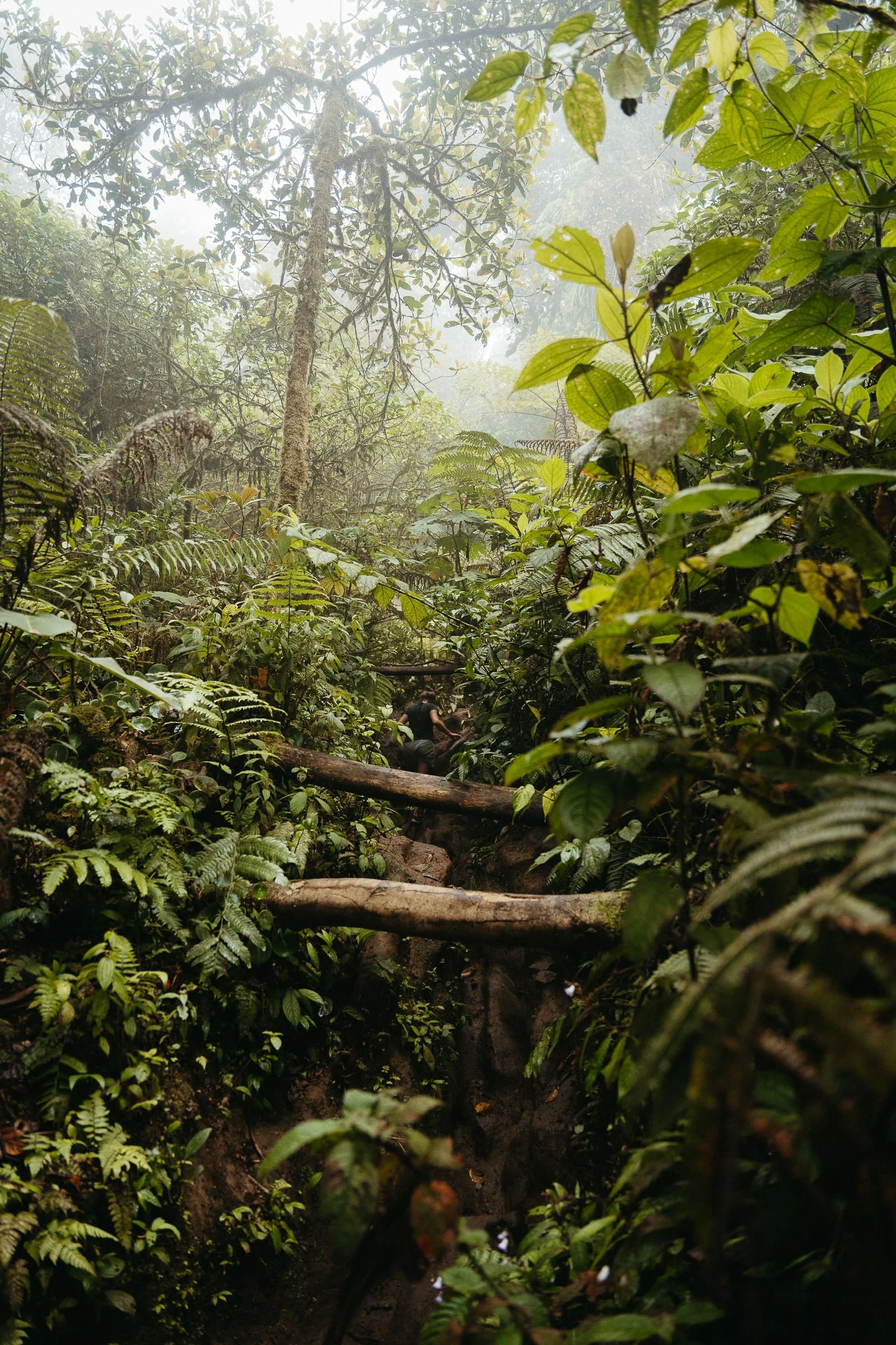 230502_Costa_Rica_La_Fortuna_Cerro_Chato_Secret_Waterfall-1091.jpg
