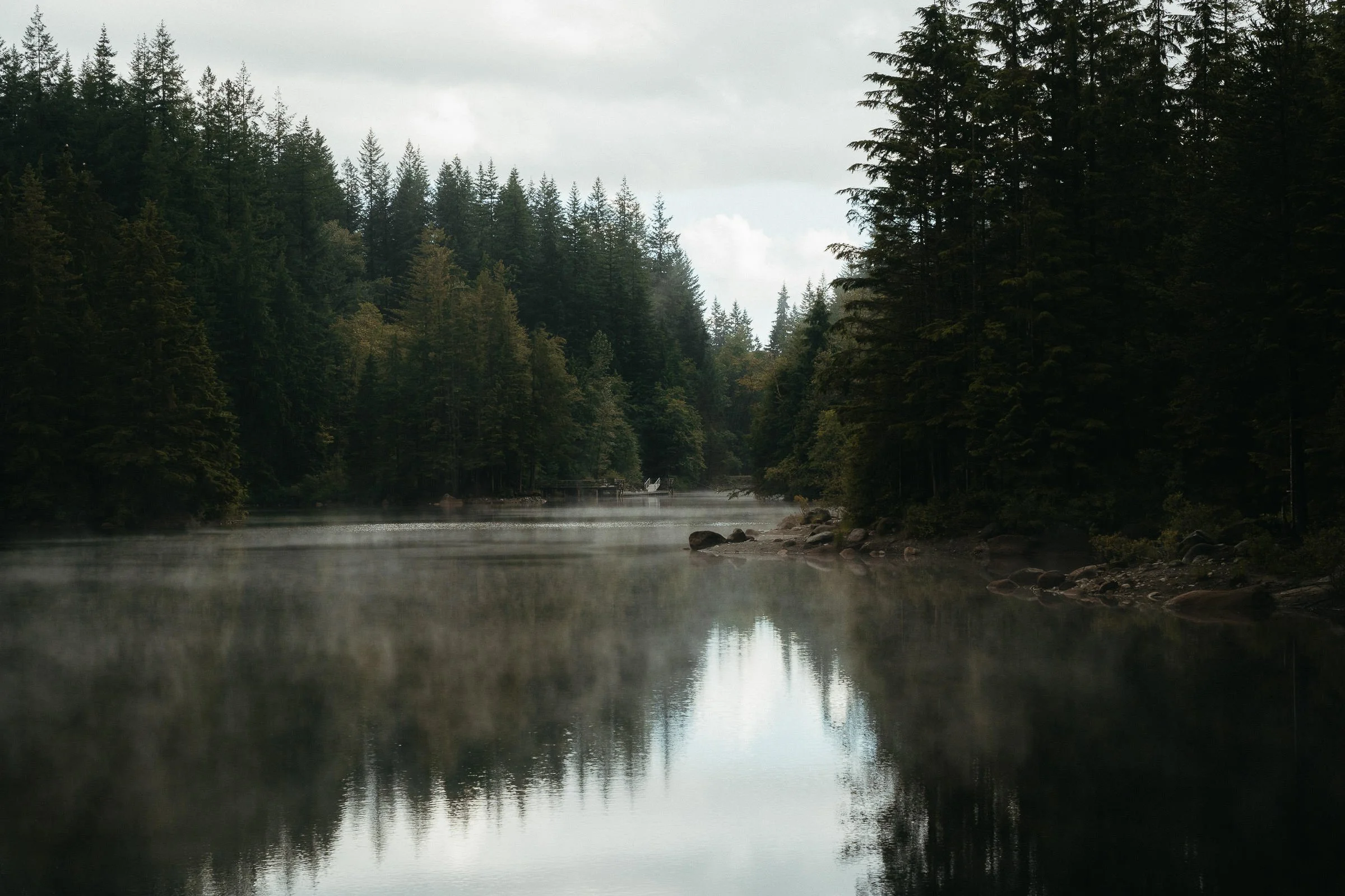 230725_Vancouver_Lynn_Canyon-9530.jpg