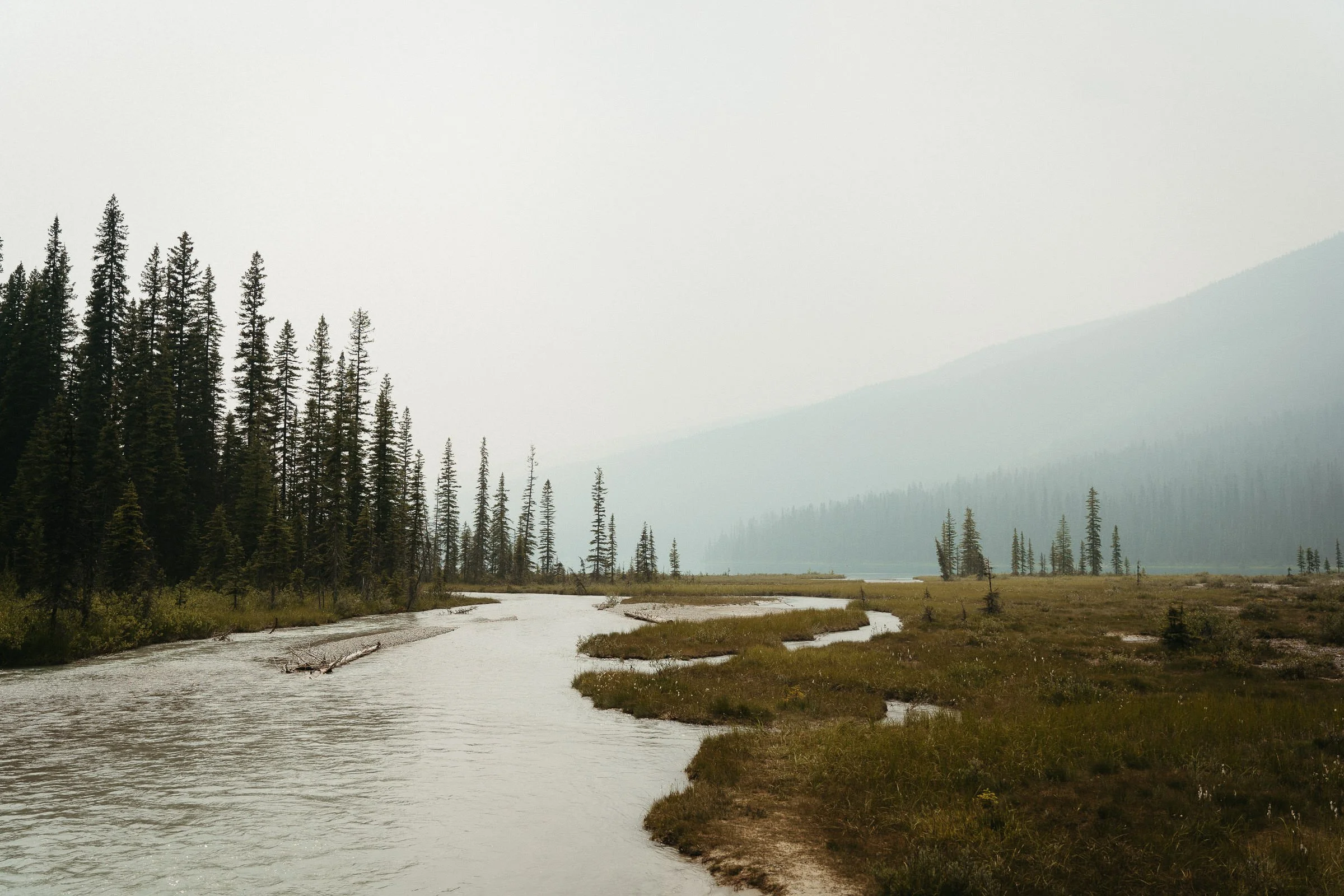 230713_Golden_Emerald_Lake_Sony-55.jpg