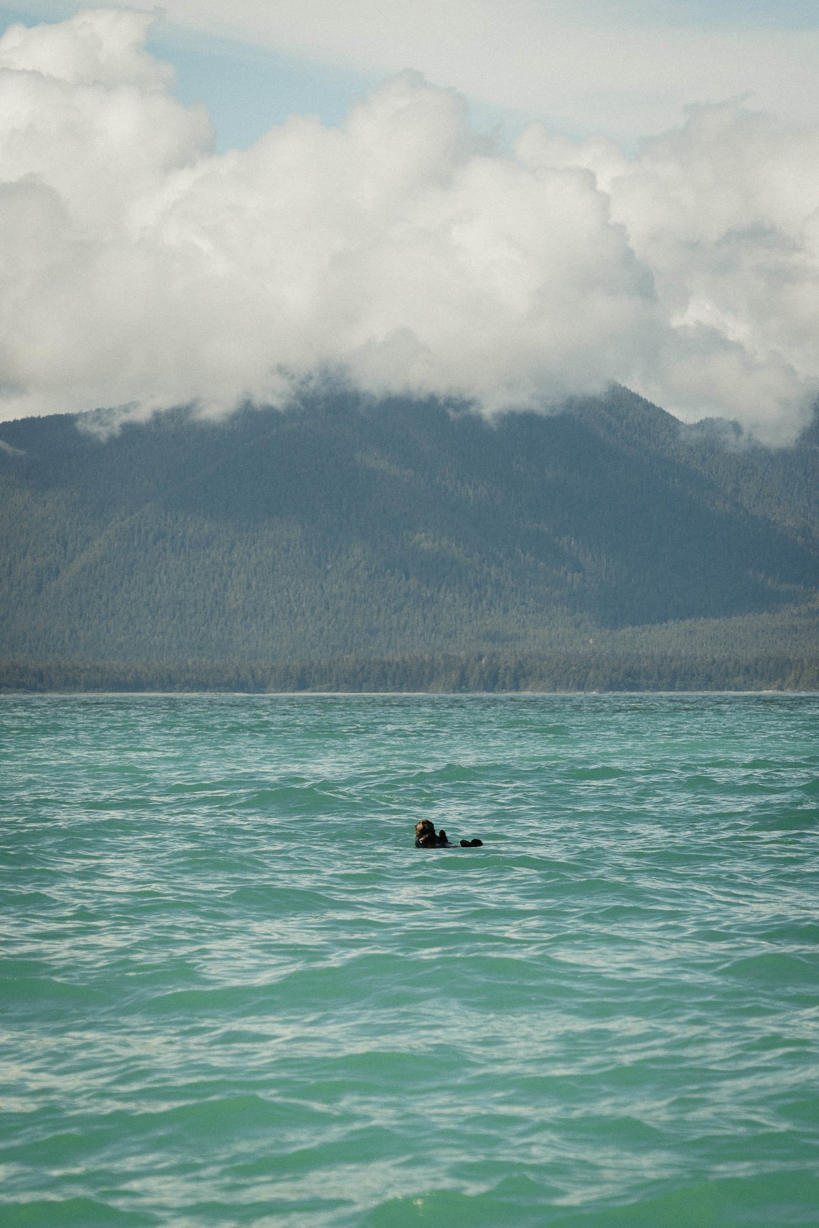 230730_Vancouver_Island_Tofino-9986.jpg