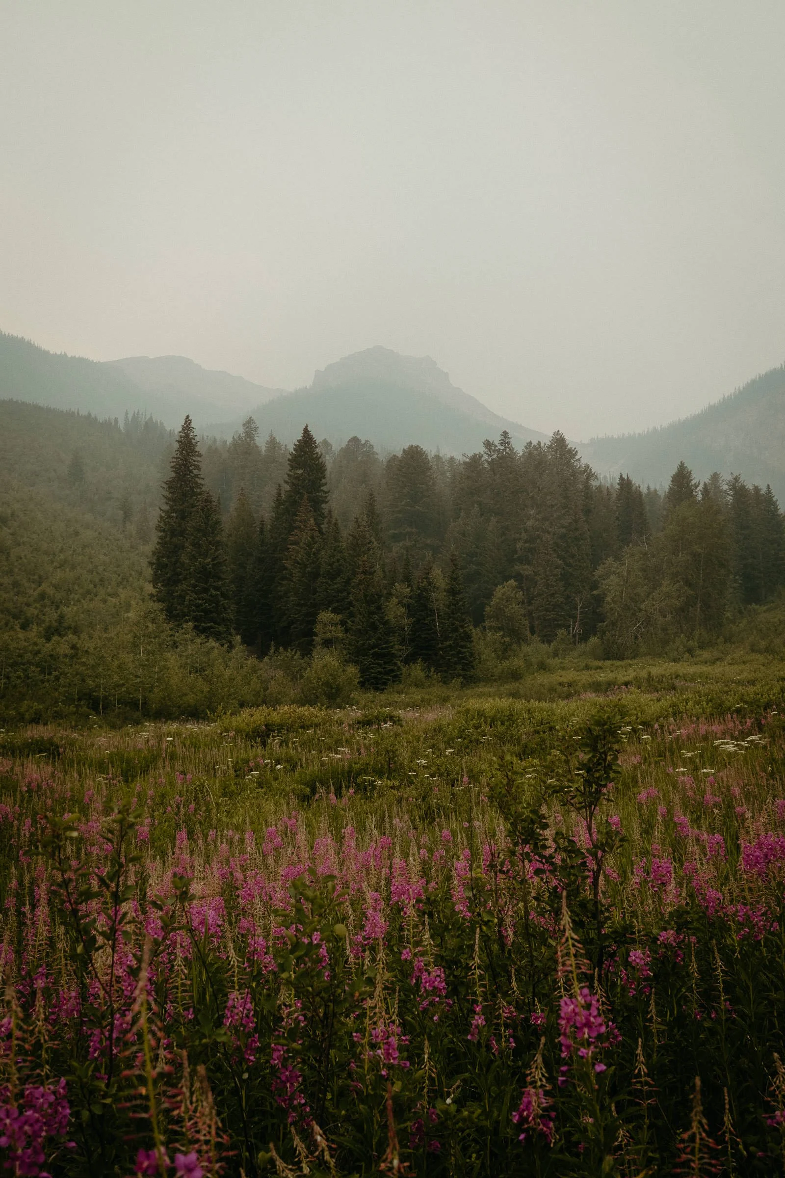230713_Golden_Emerald_Lake_Fuji-27.jpg