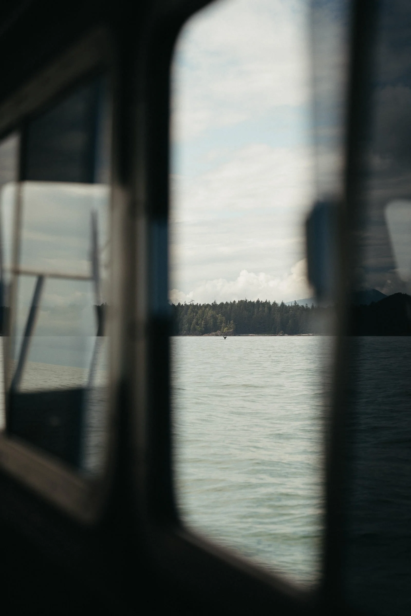 230730_Vancouver_Island_Tofino-0154.jpg