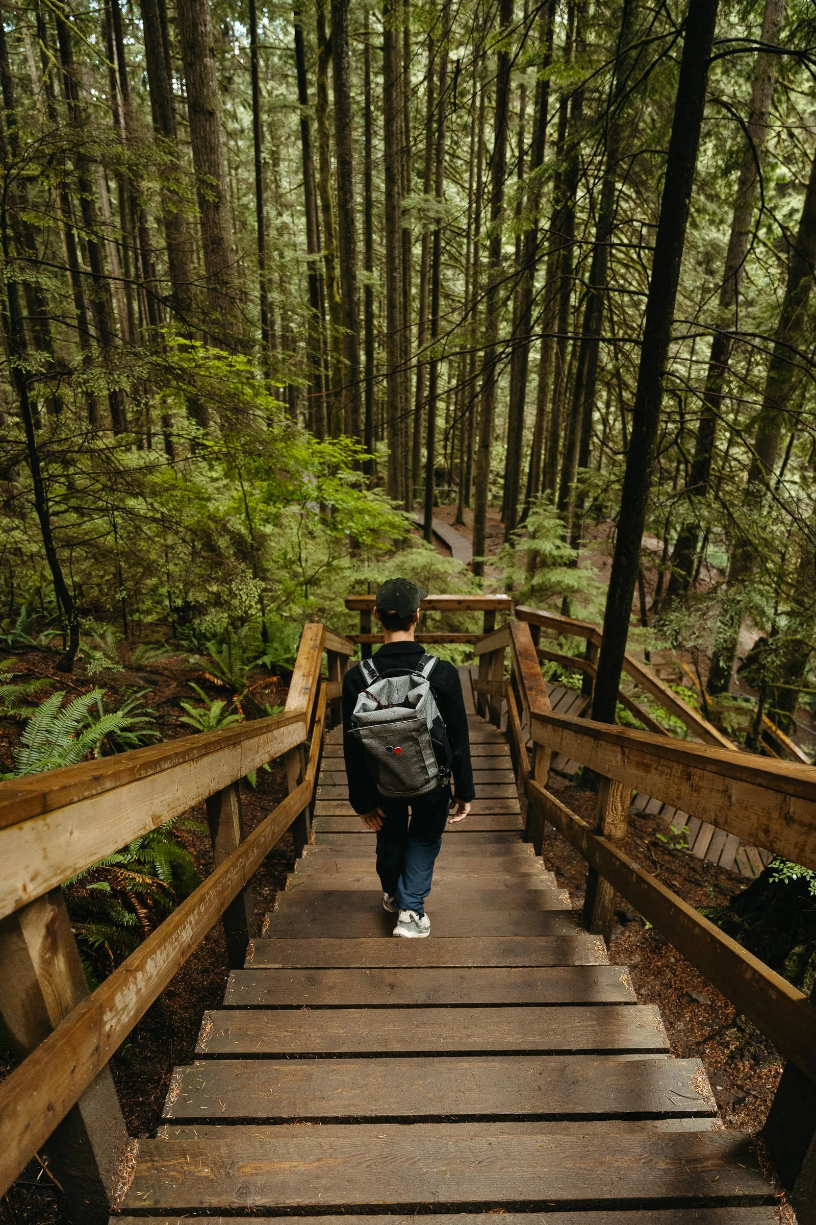 230725_Vancouver_Lynn_Canyon-9286.jpg