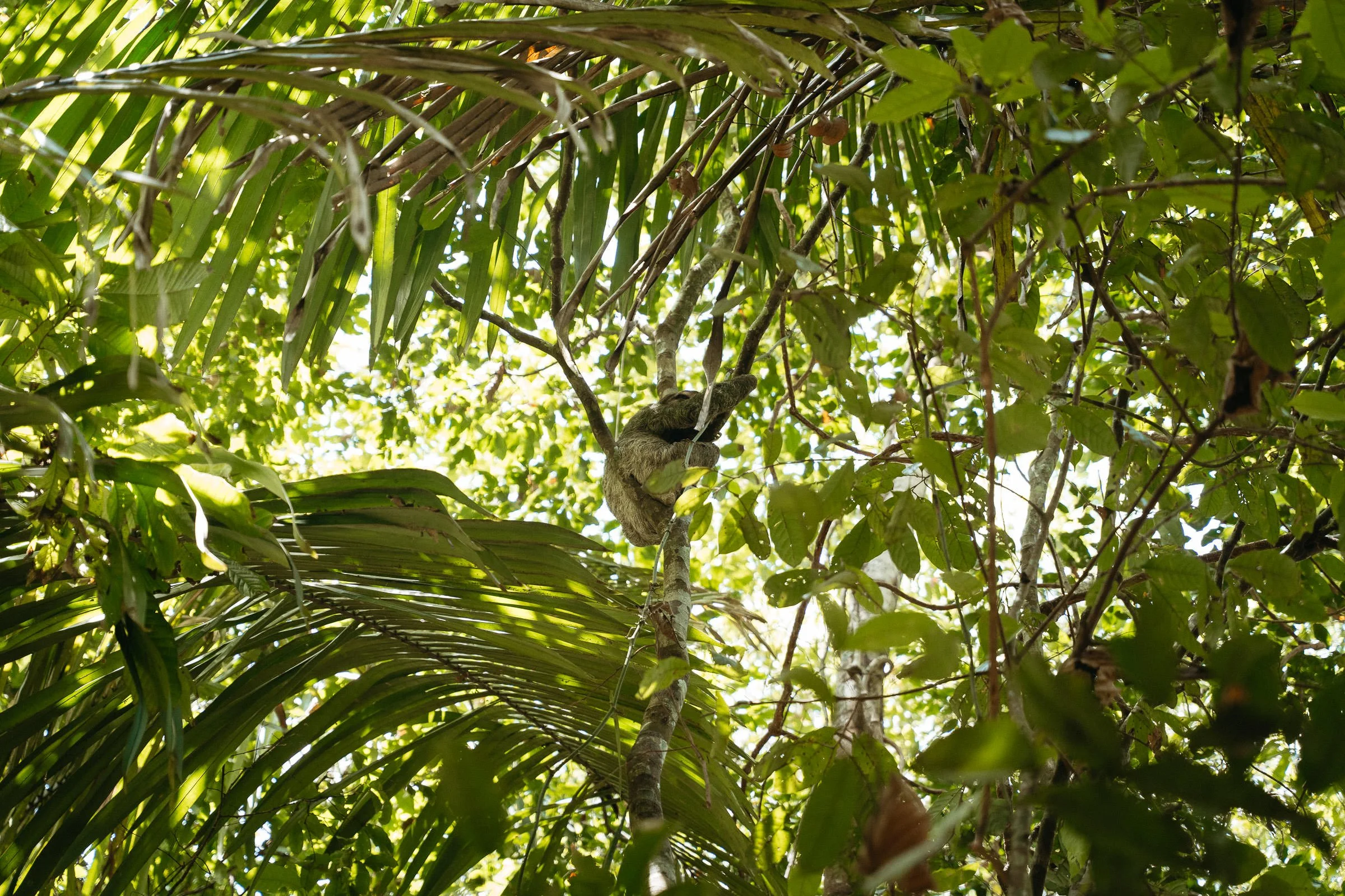 230514_Costa_Rica_Manuel_Antonio_National_Park-3001.jpg