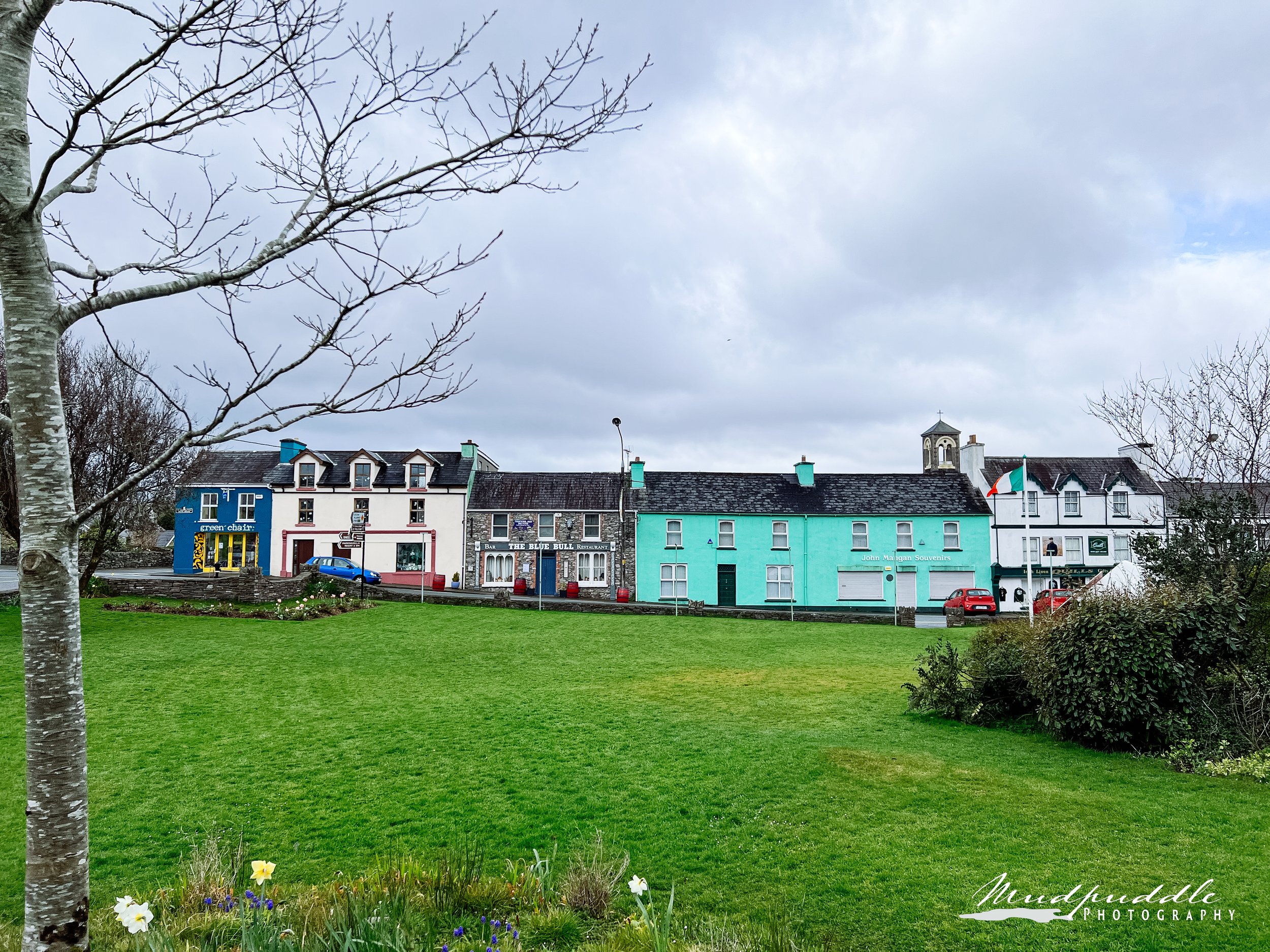 row of colorful irish houses