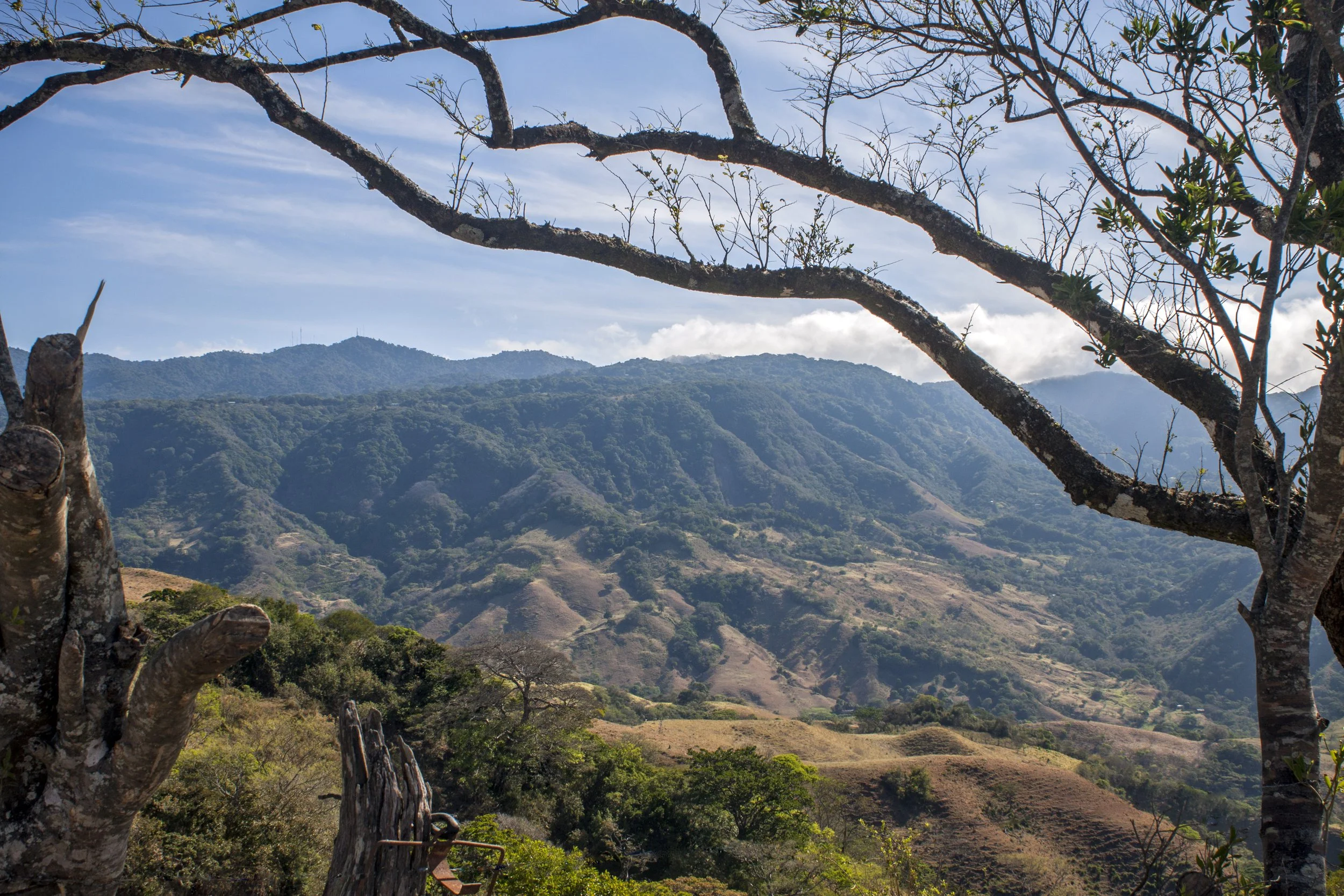 Mountain landscape with green hills and trees, branches in the foreground, blue sky with clouds, and a distant mountain range.