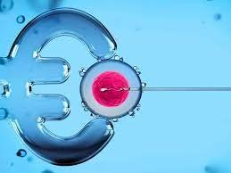 Símbolo del euro junto a una célula en un tratamiento de fertilización asistida.