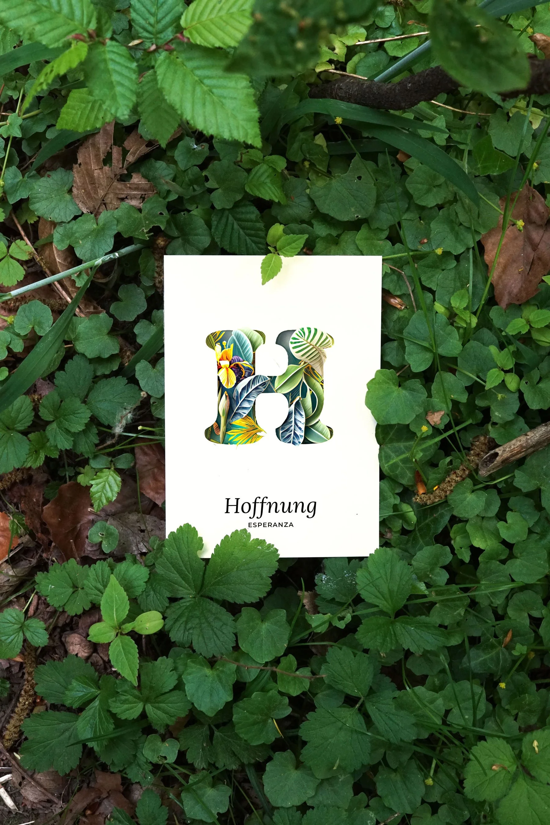 Hoffnung-web.jpg