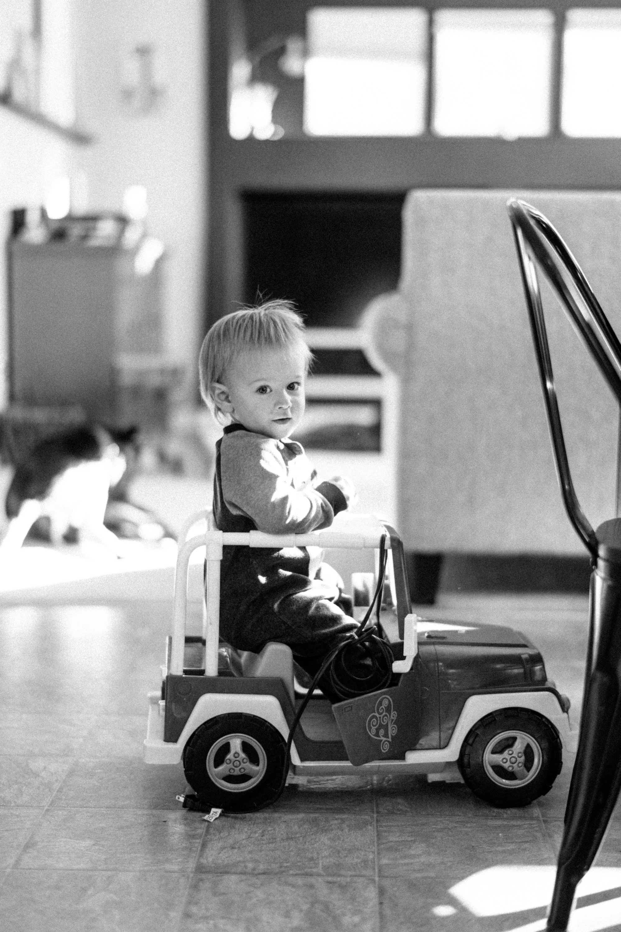 365 Project - 21.jpeg