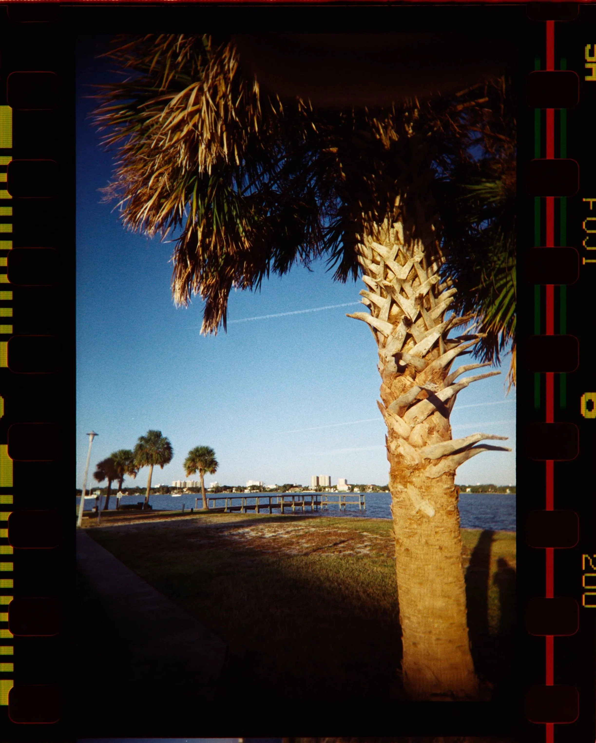Z62_4648.NEF.jpg