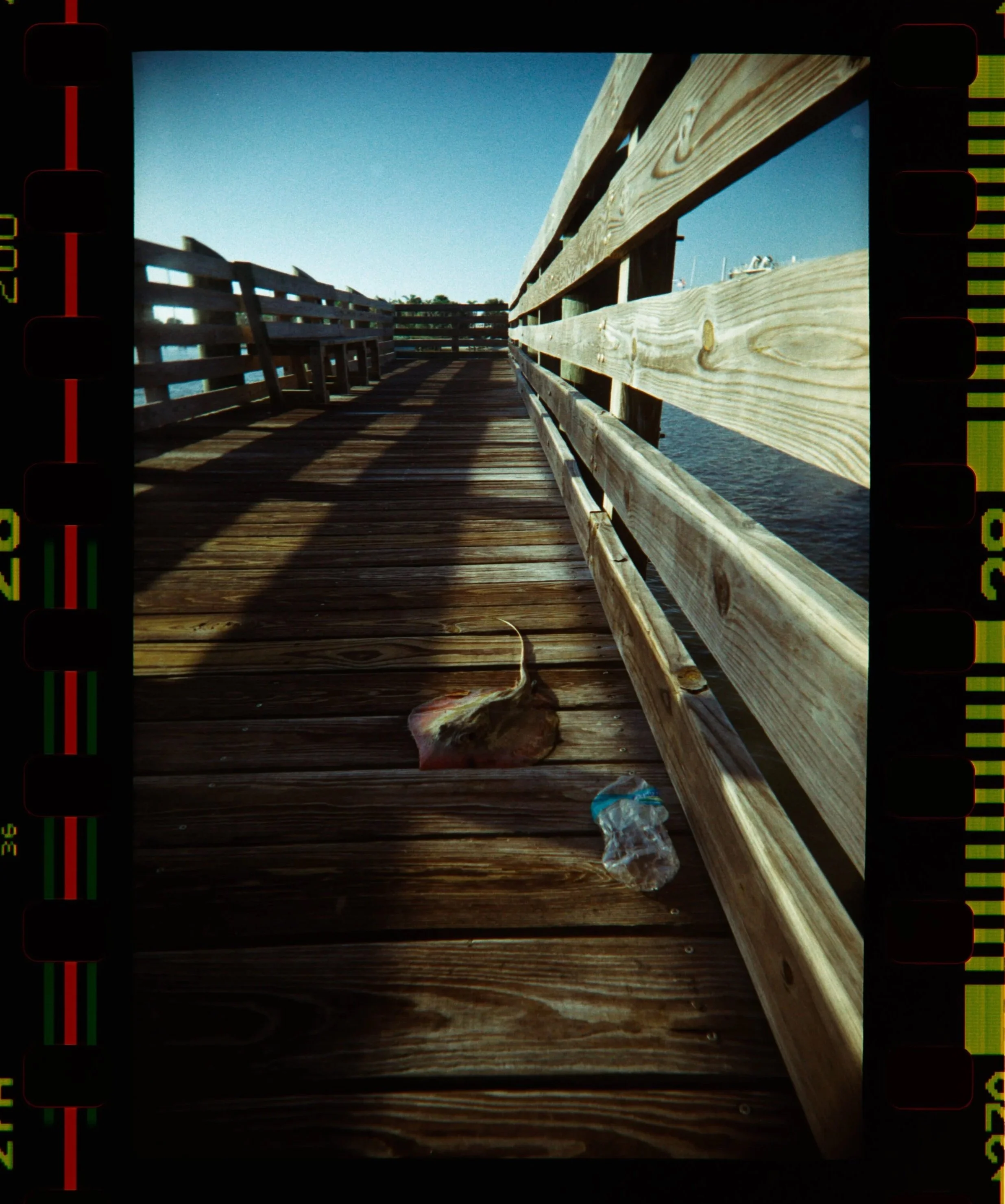 Z62_4667.NEF.jpg