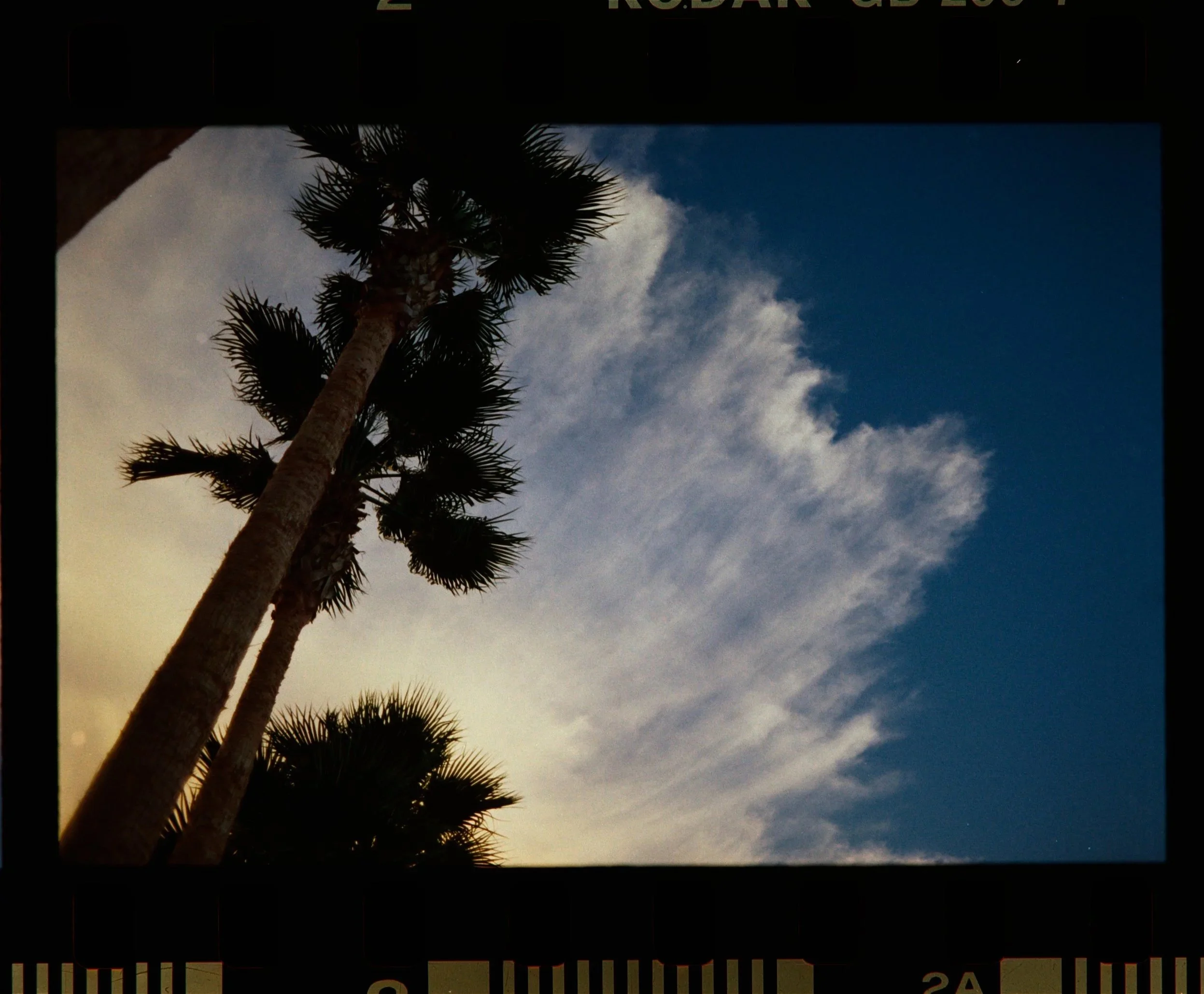 Z62_4793.NEF.jpg