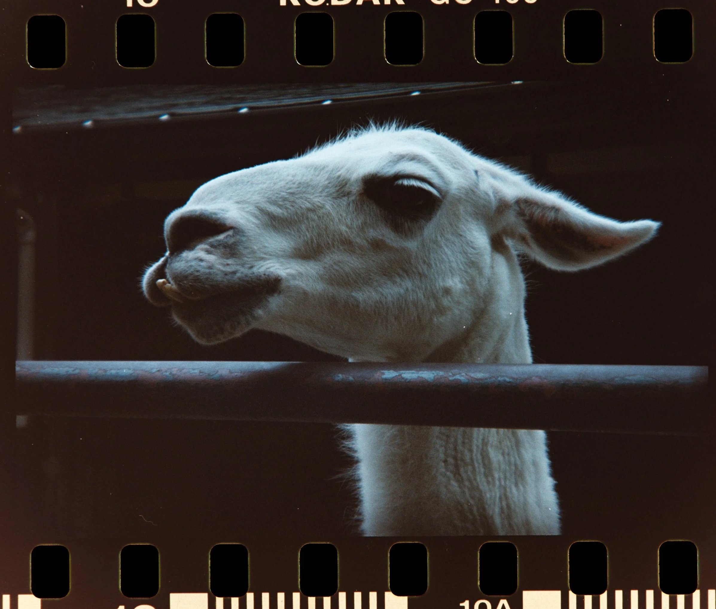 Z62_4834.NEF.jpg