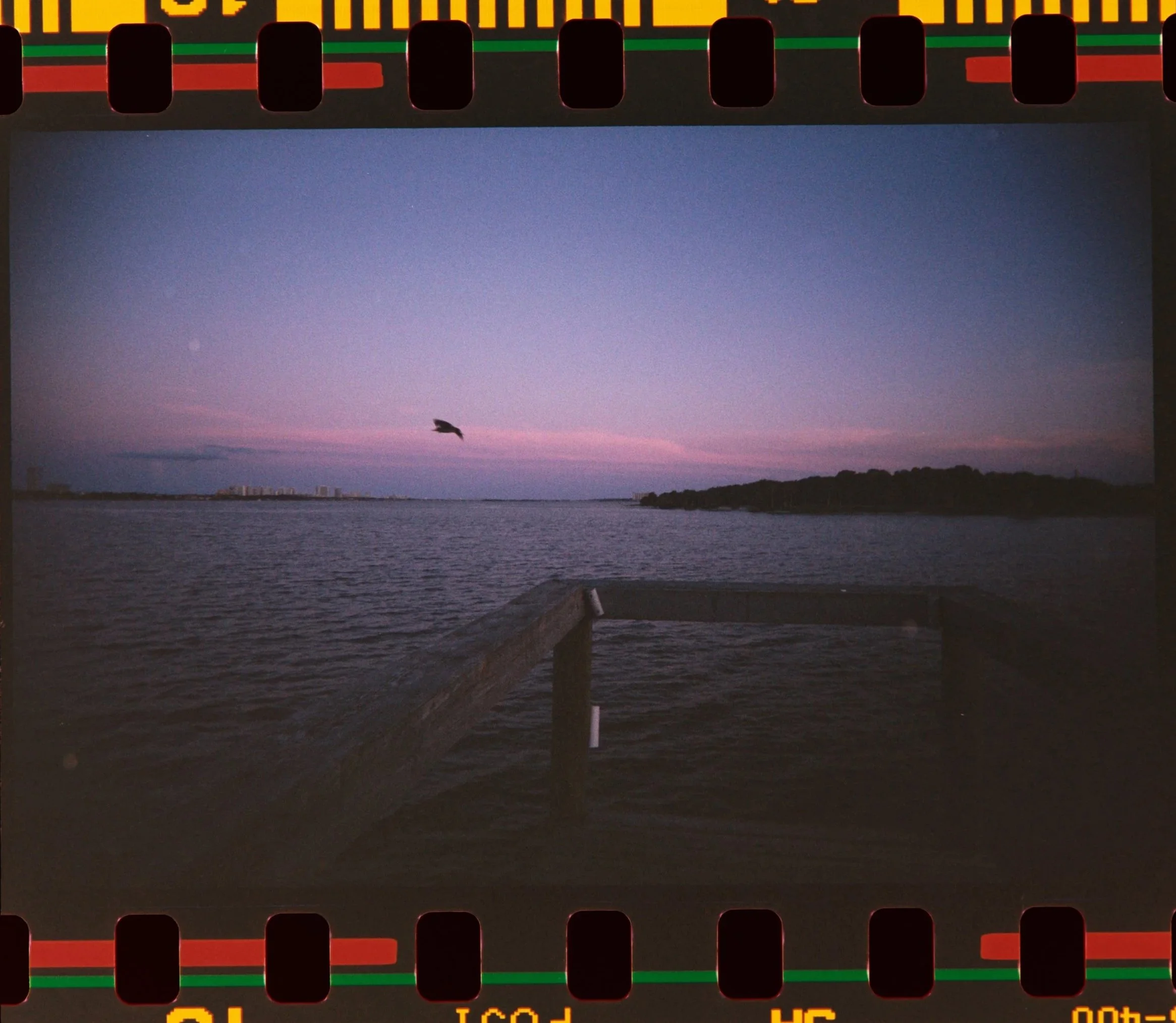 Z62_4771.NEF.jpg