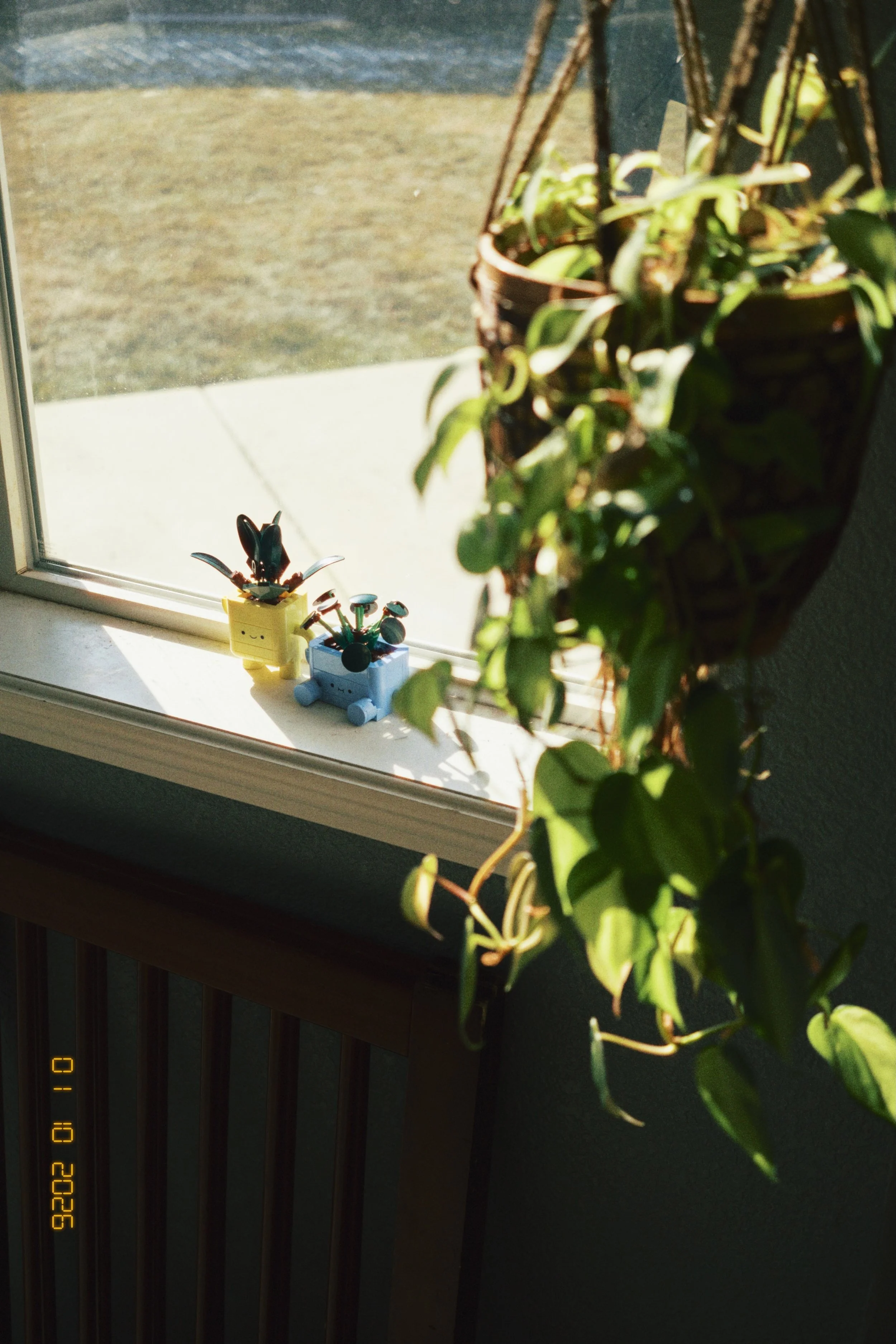 365 Project - 10.jpeg