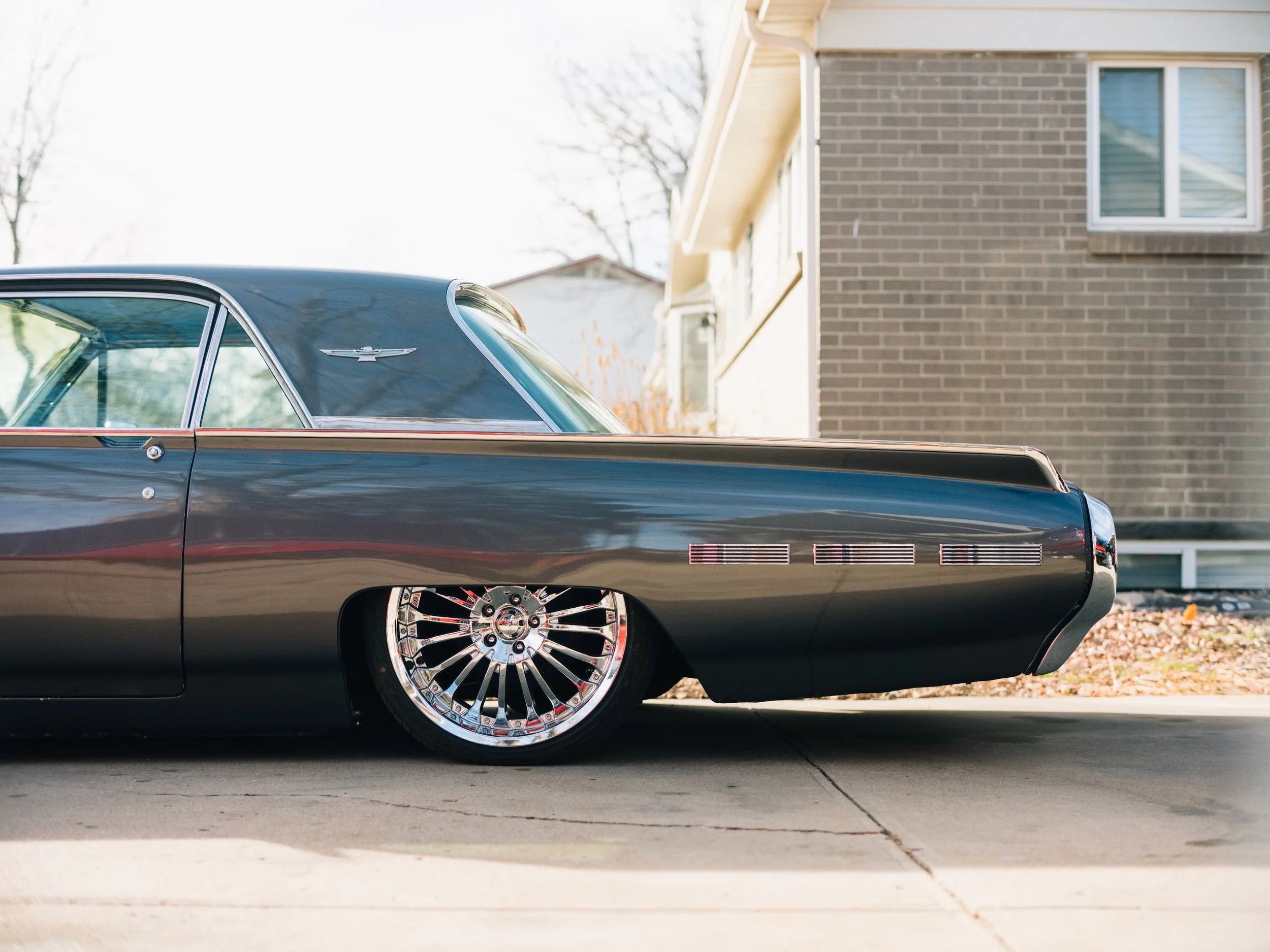 365 Project - 7.jpeg