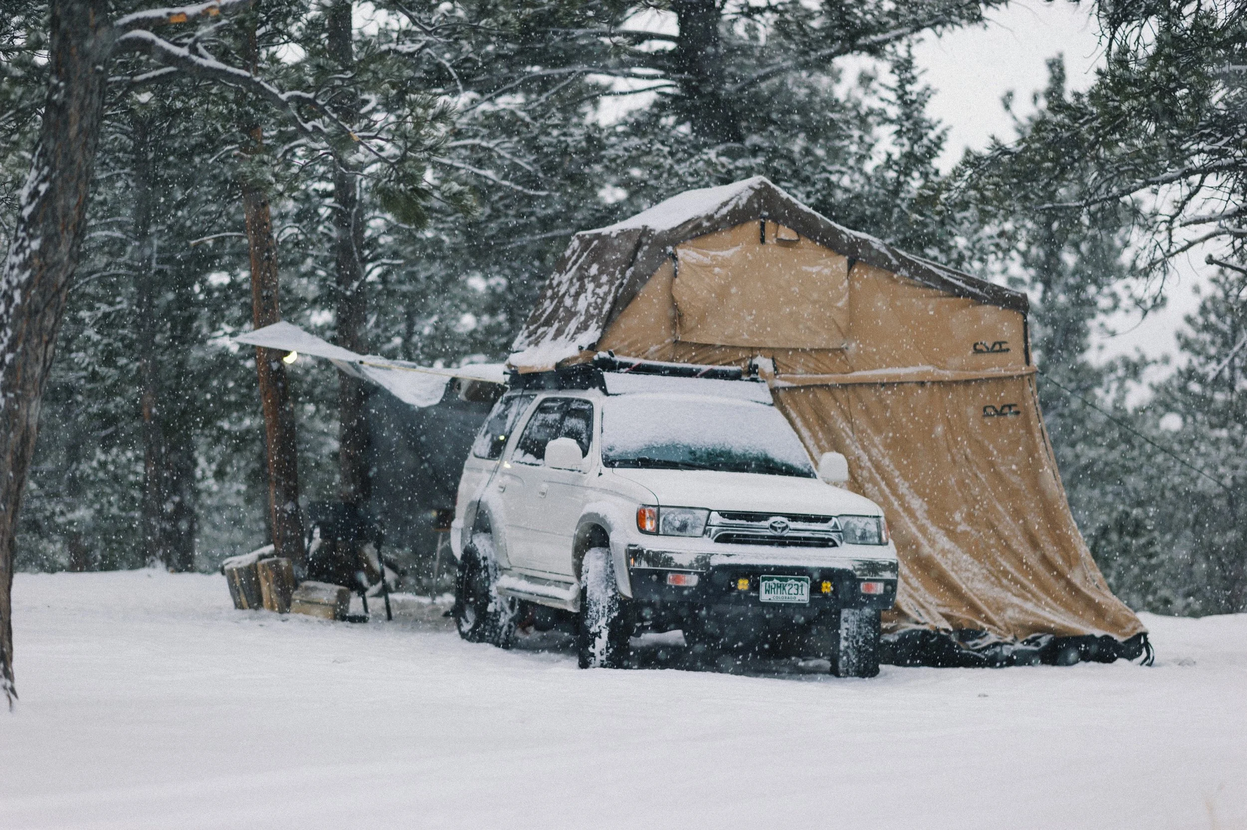 365 Project - 8 (1).jpeg