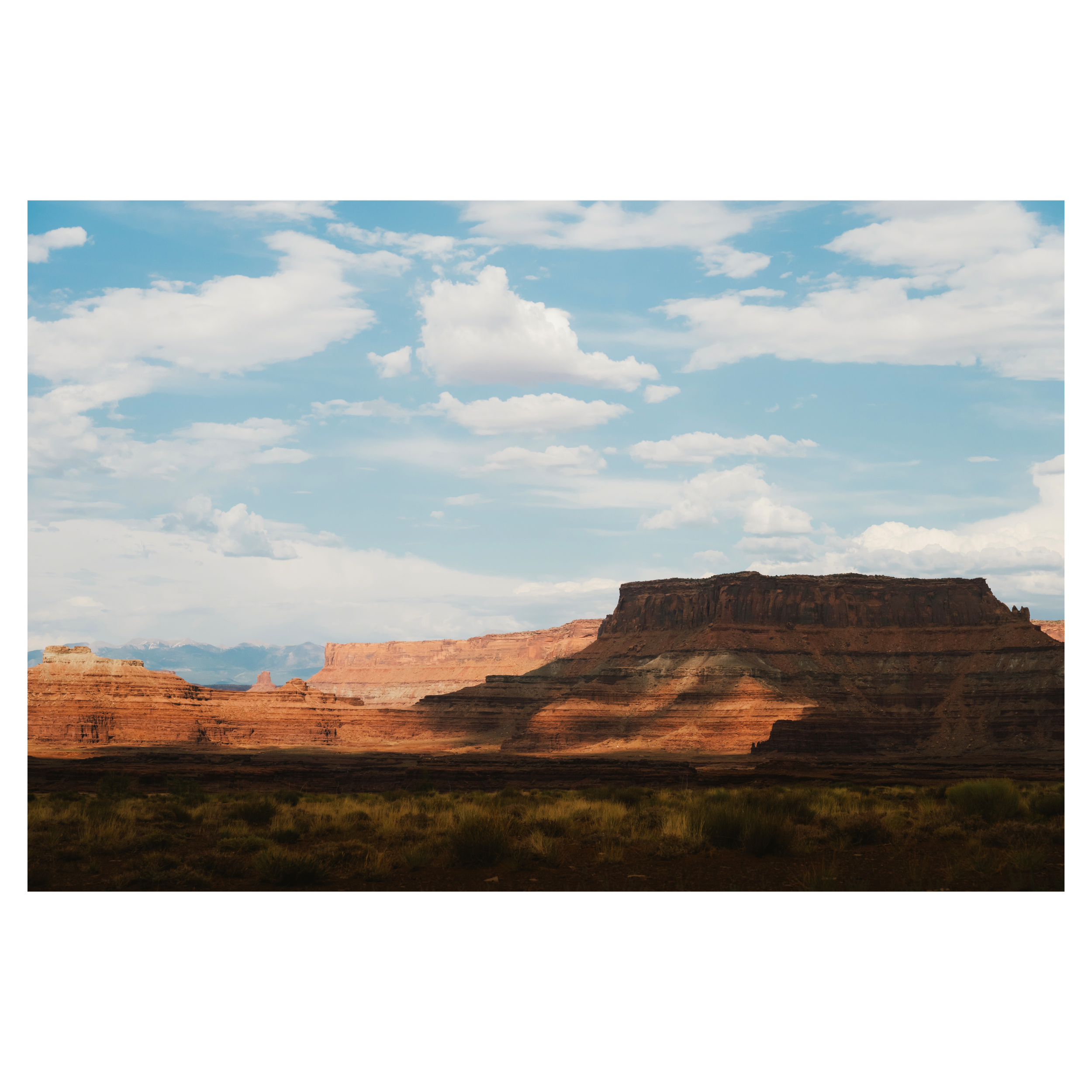 Desert Summer - Signature Print