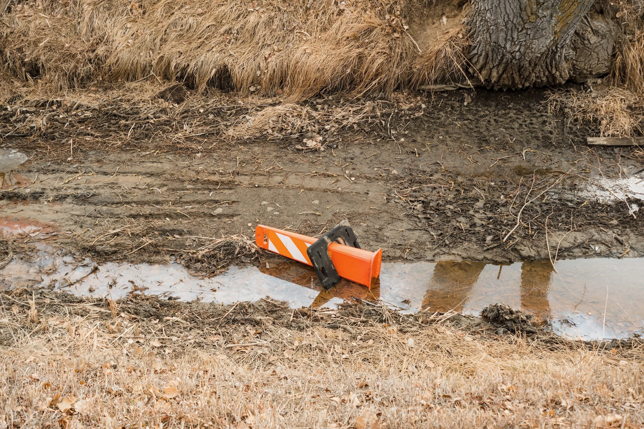 365 Project - 13.jpeg