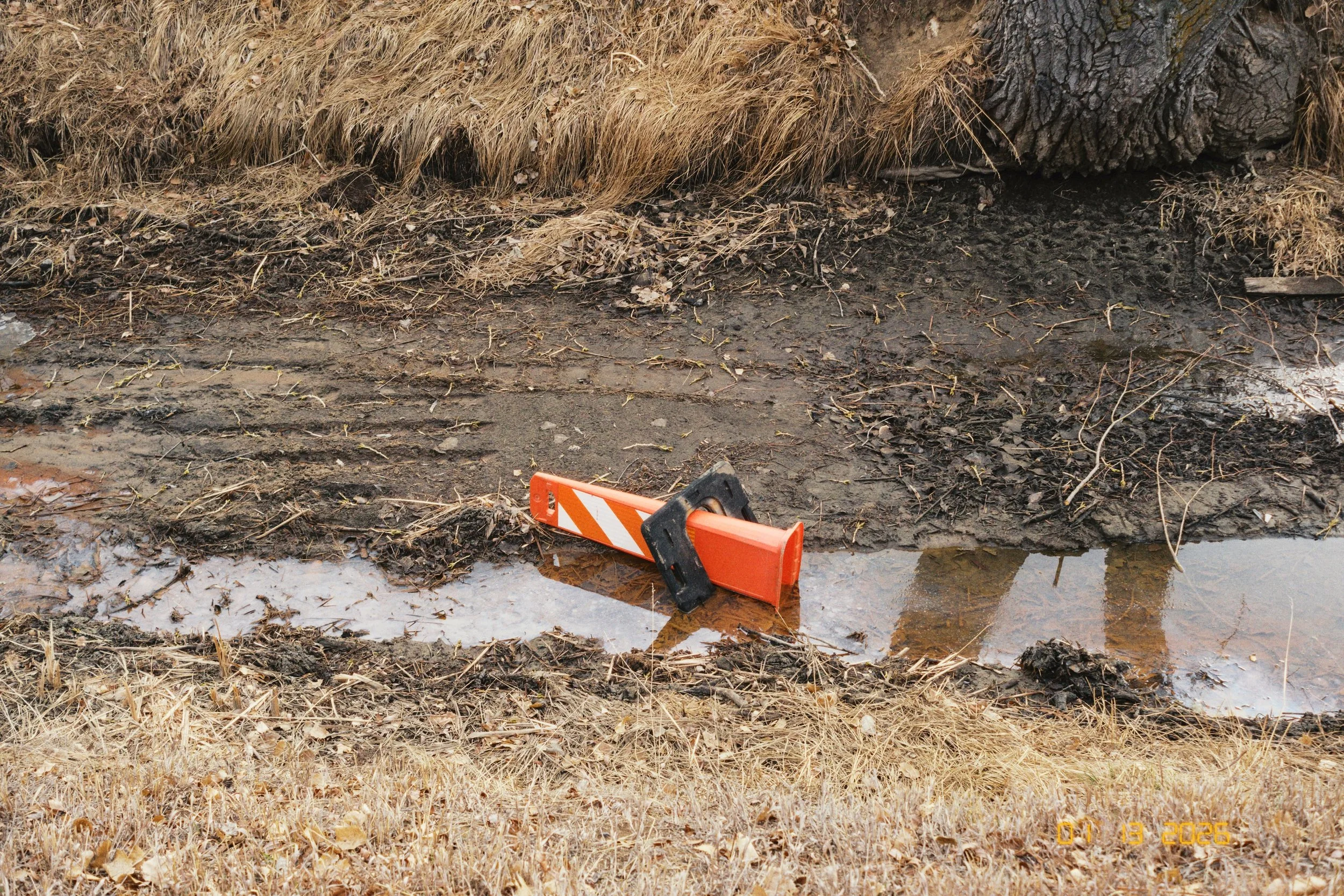 365 Project - 13.jpeg