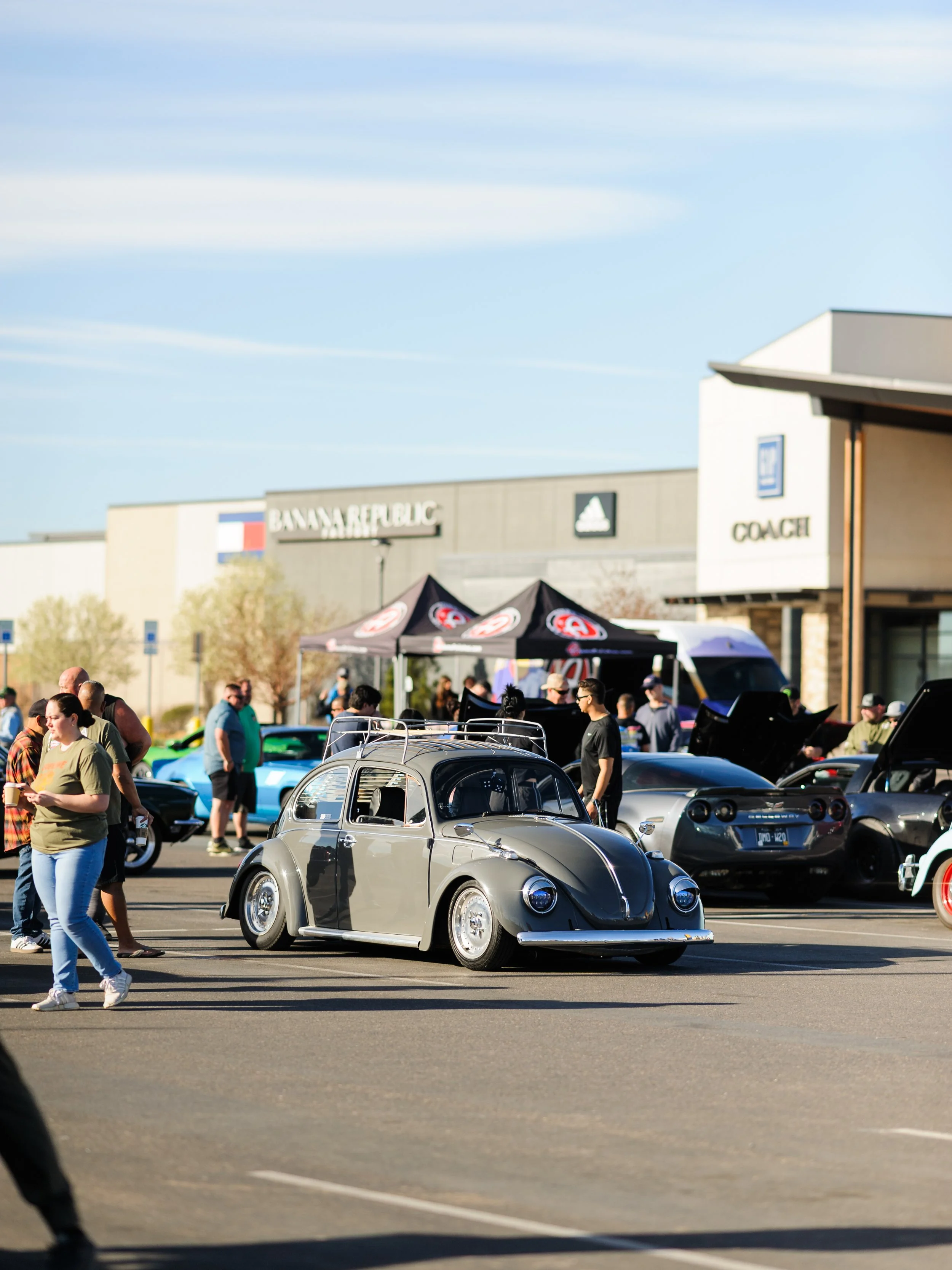 2026-03-21-NIKON D3-5.jpg