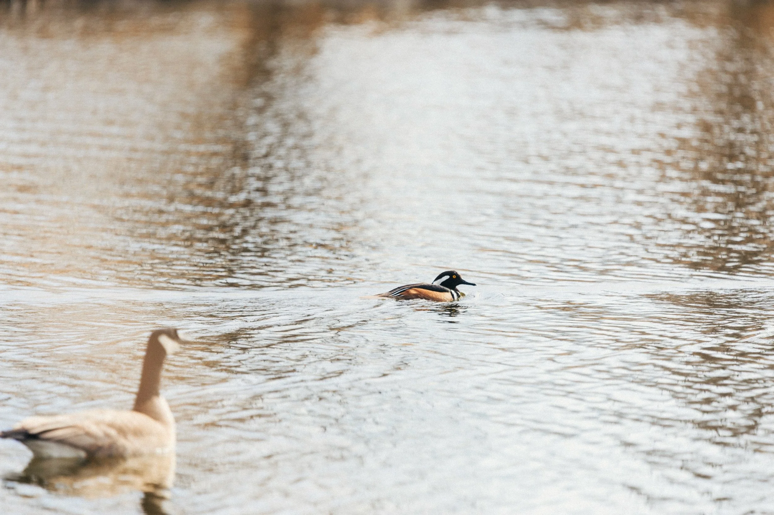 365 Project - 2 (1).jpeg