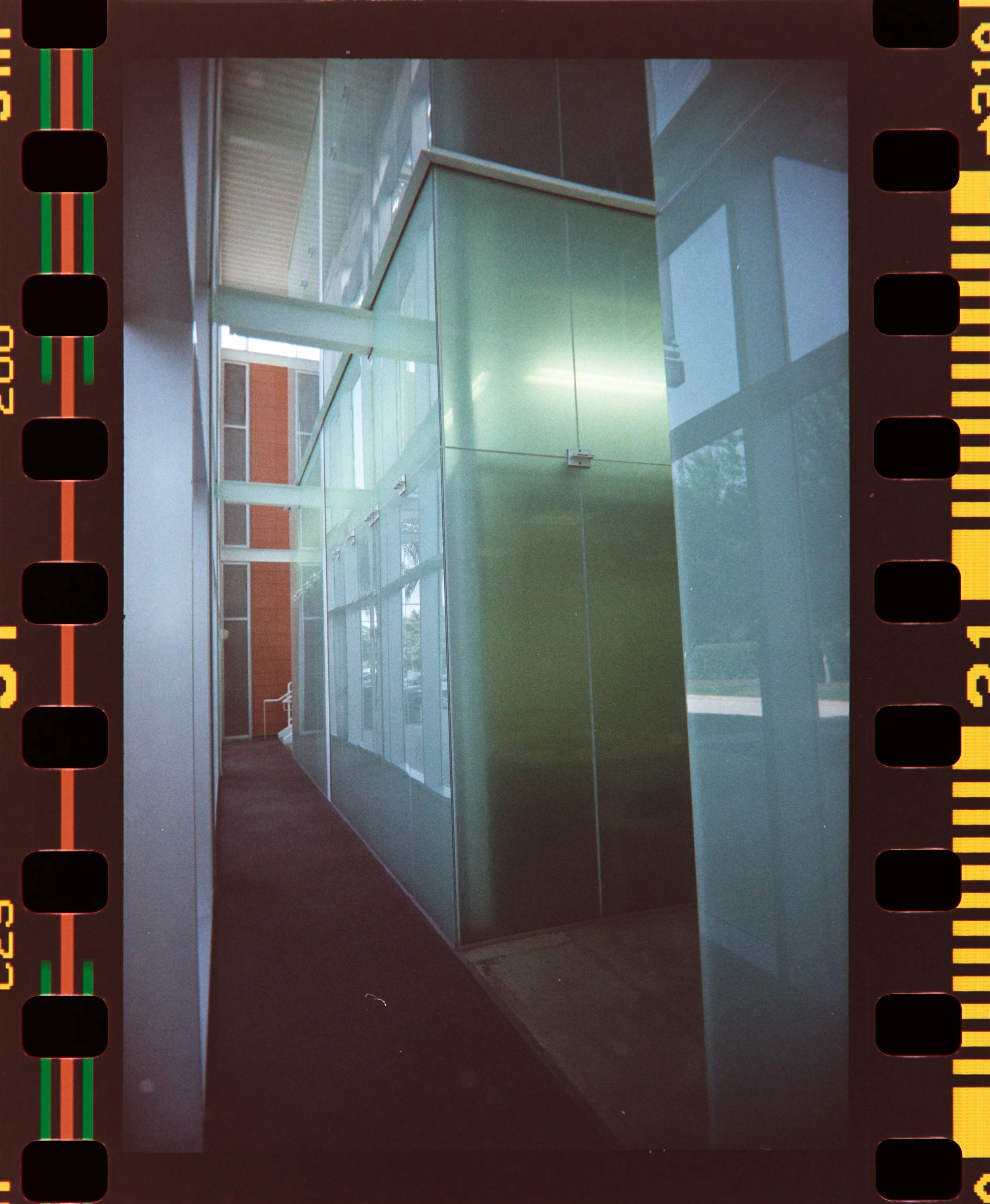 Z62_4750.NEF.jpg