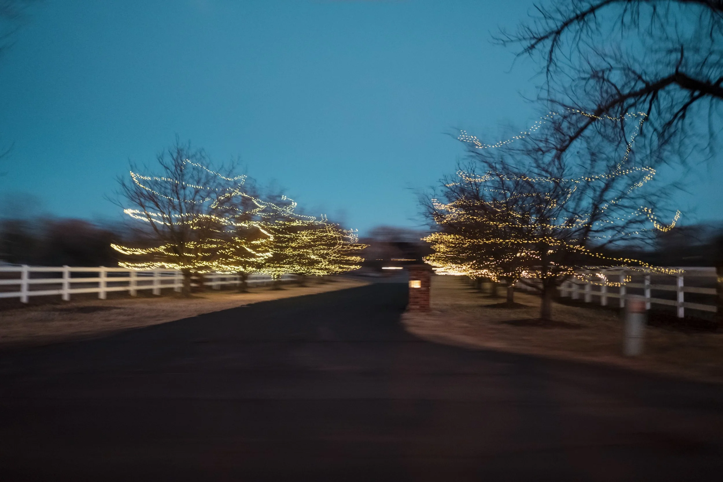 365 Project - 5.jpeg