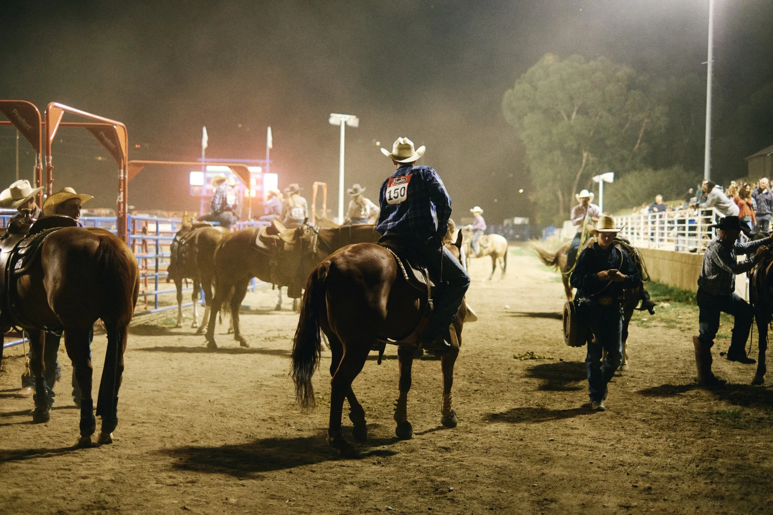 Dear Rodeo