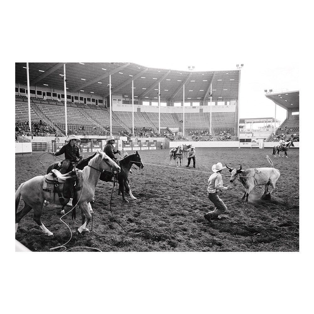 Rodeo - Signature Print