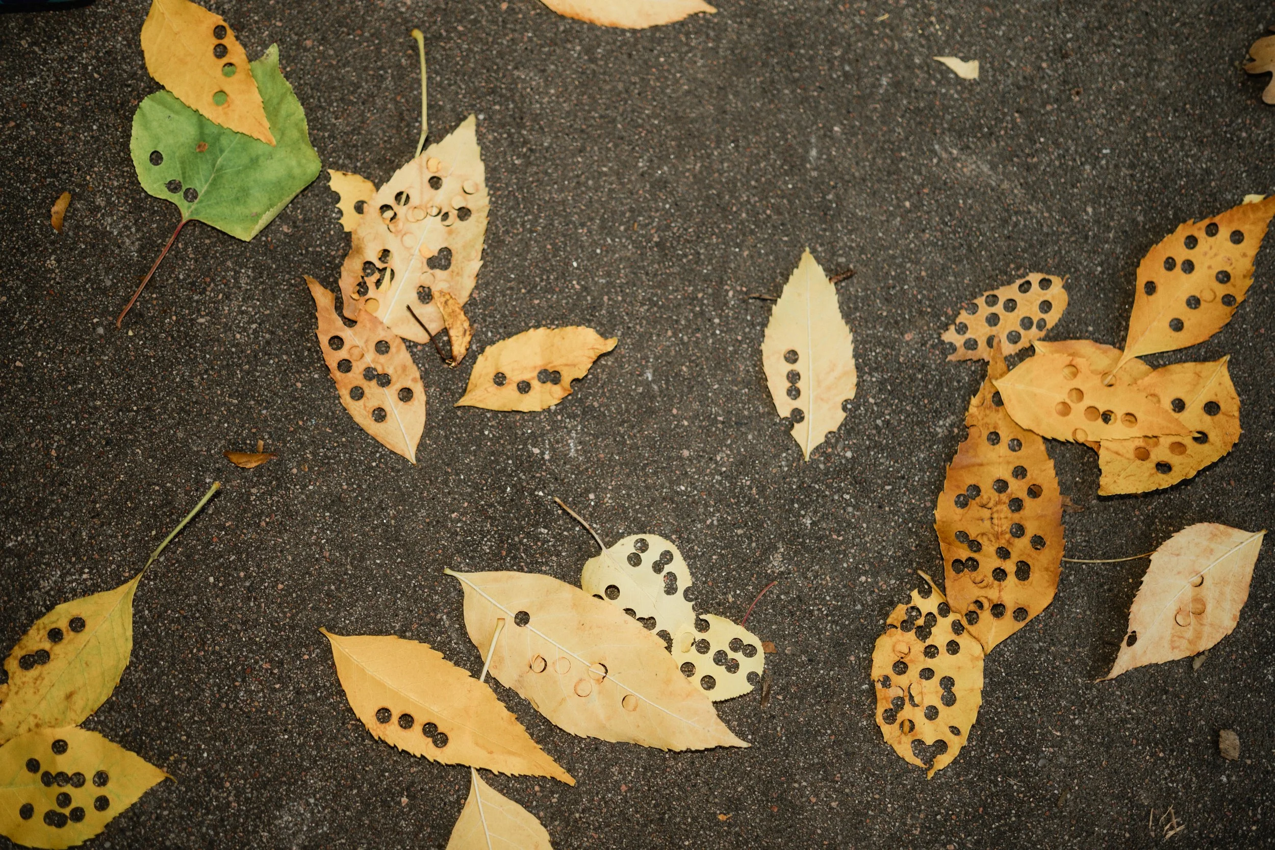 2025-October-18-170844.jpg
