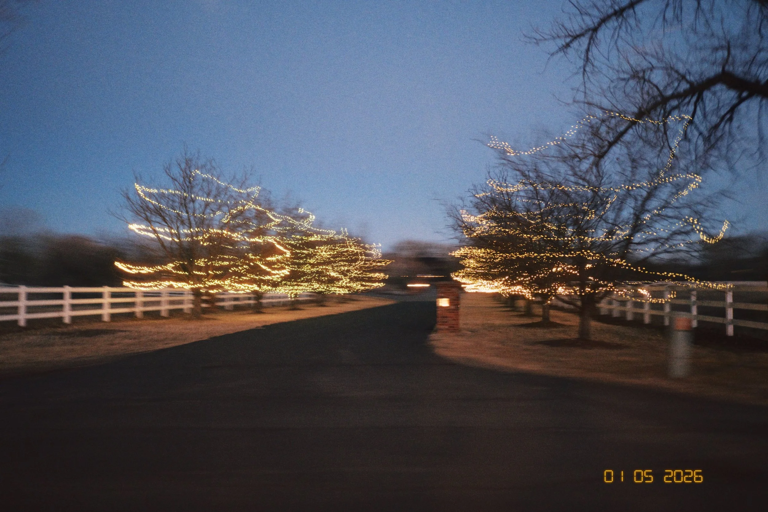 365 Project - 5.jpeg