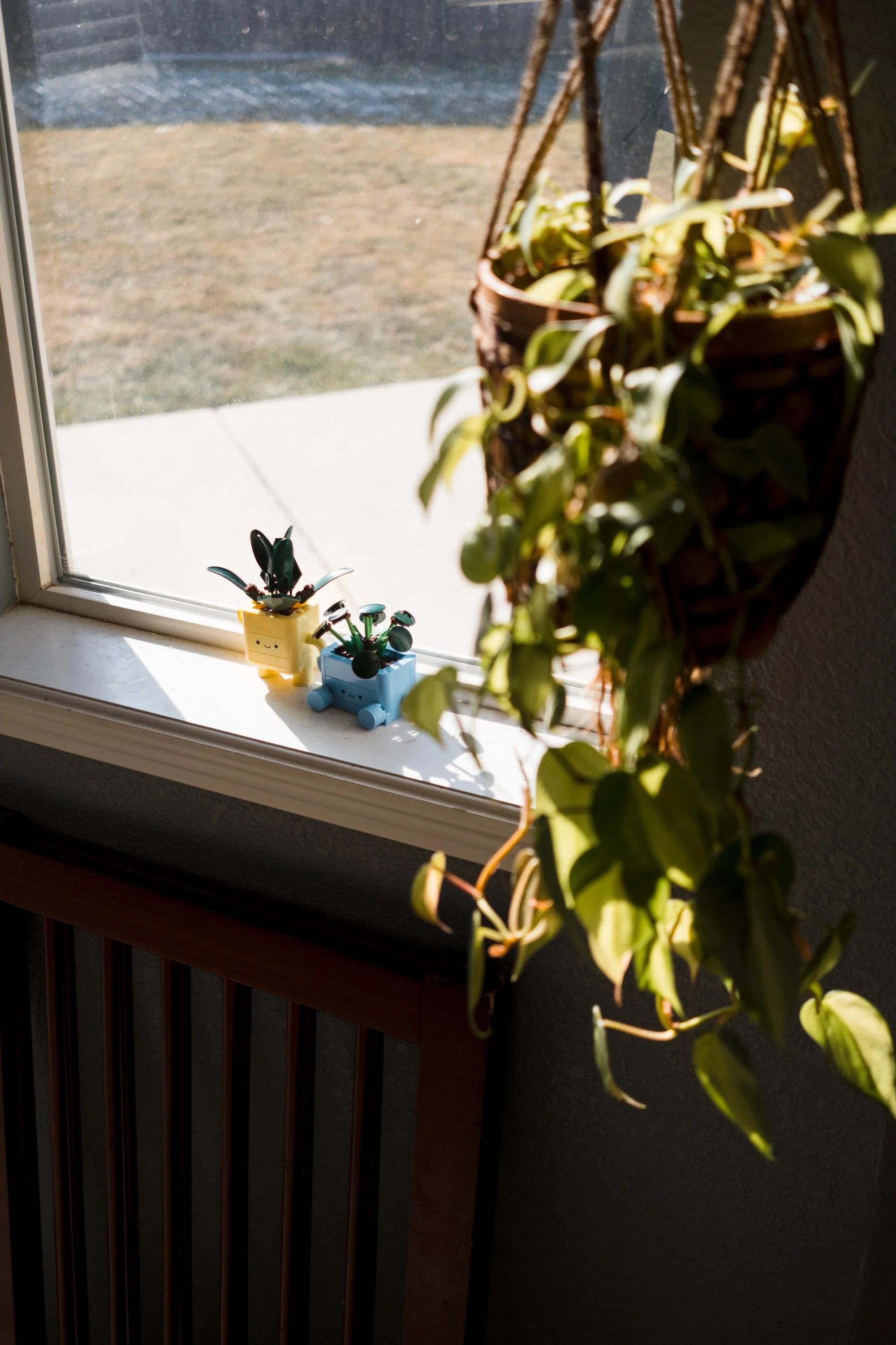 365 Project - 10.jpeg