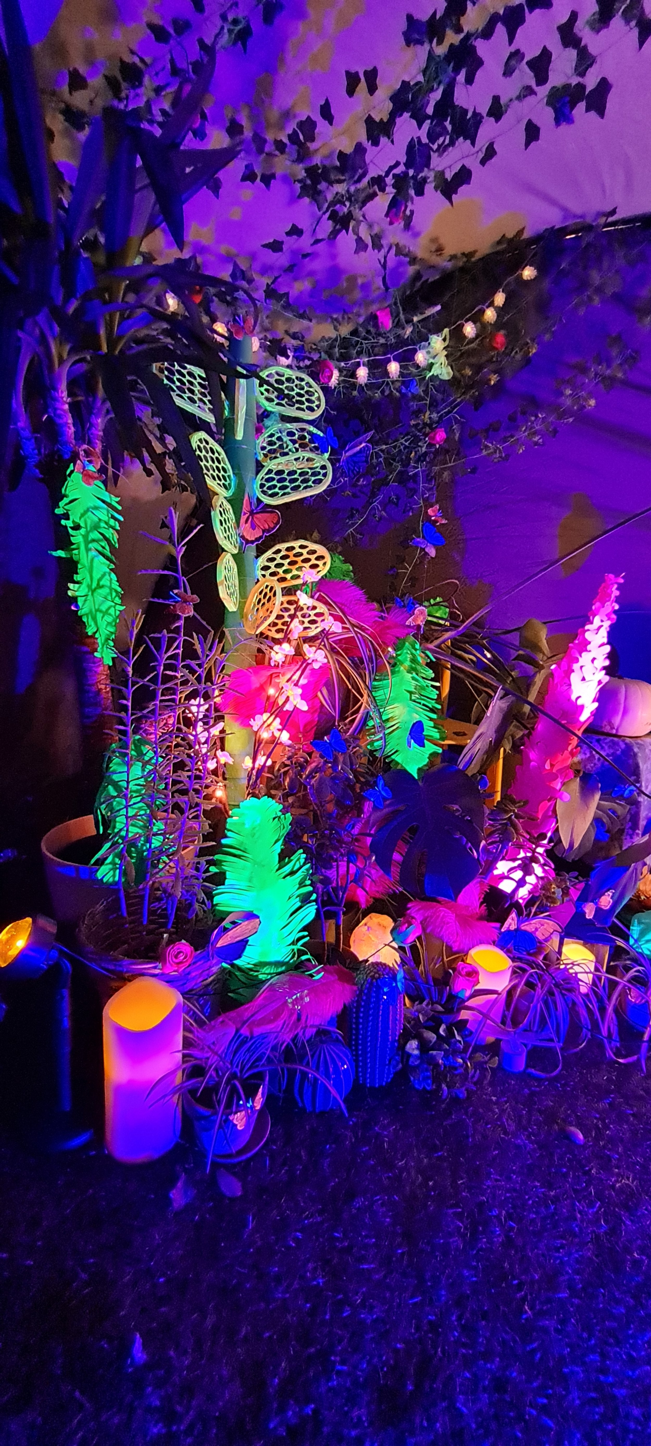 20211125_175732.jpg