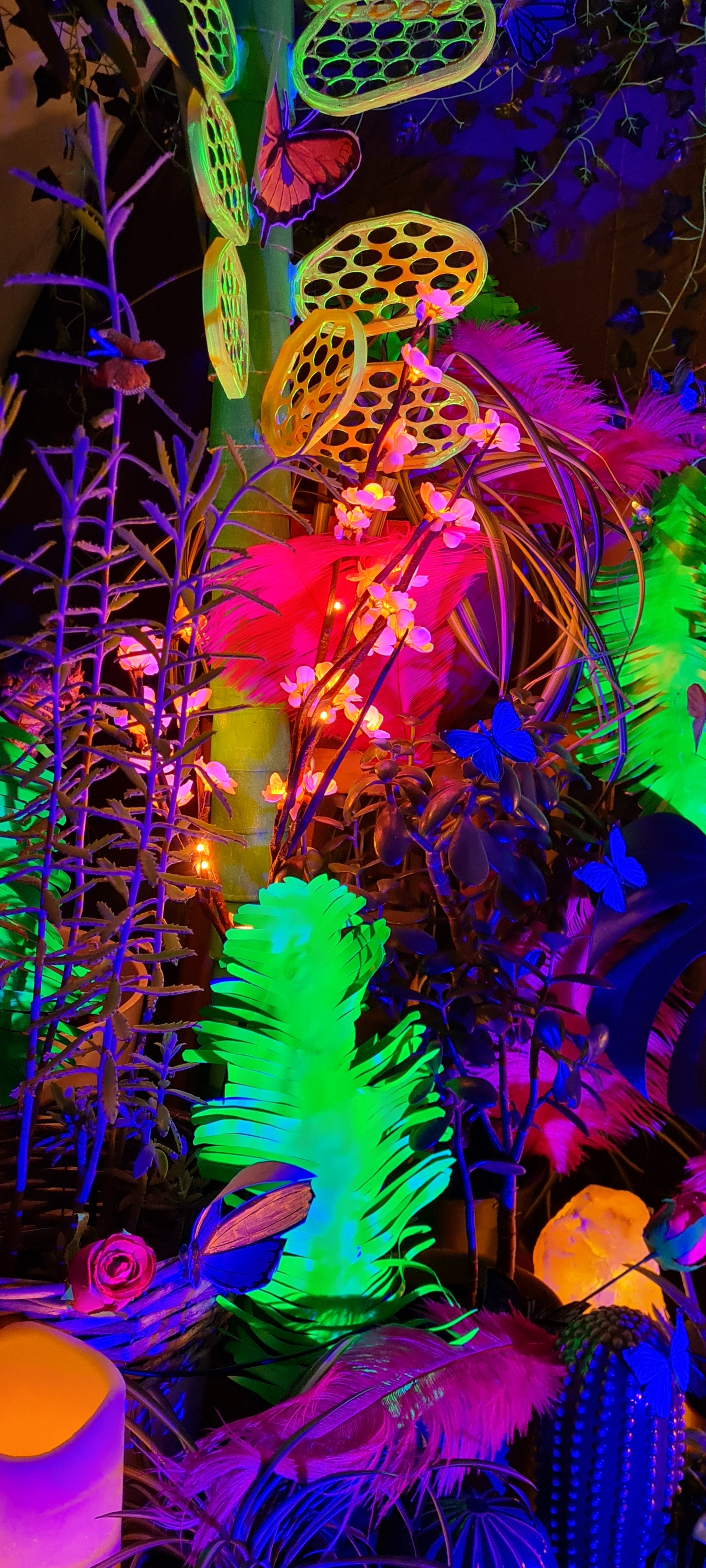 20211125_175739.jpg