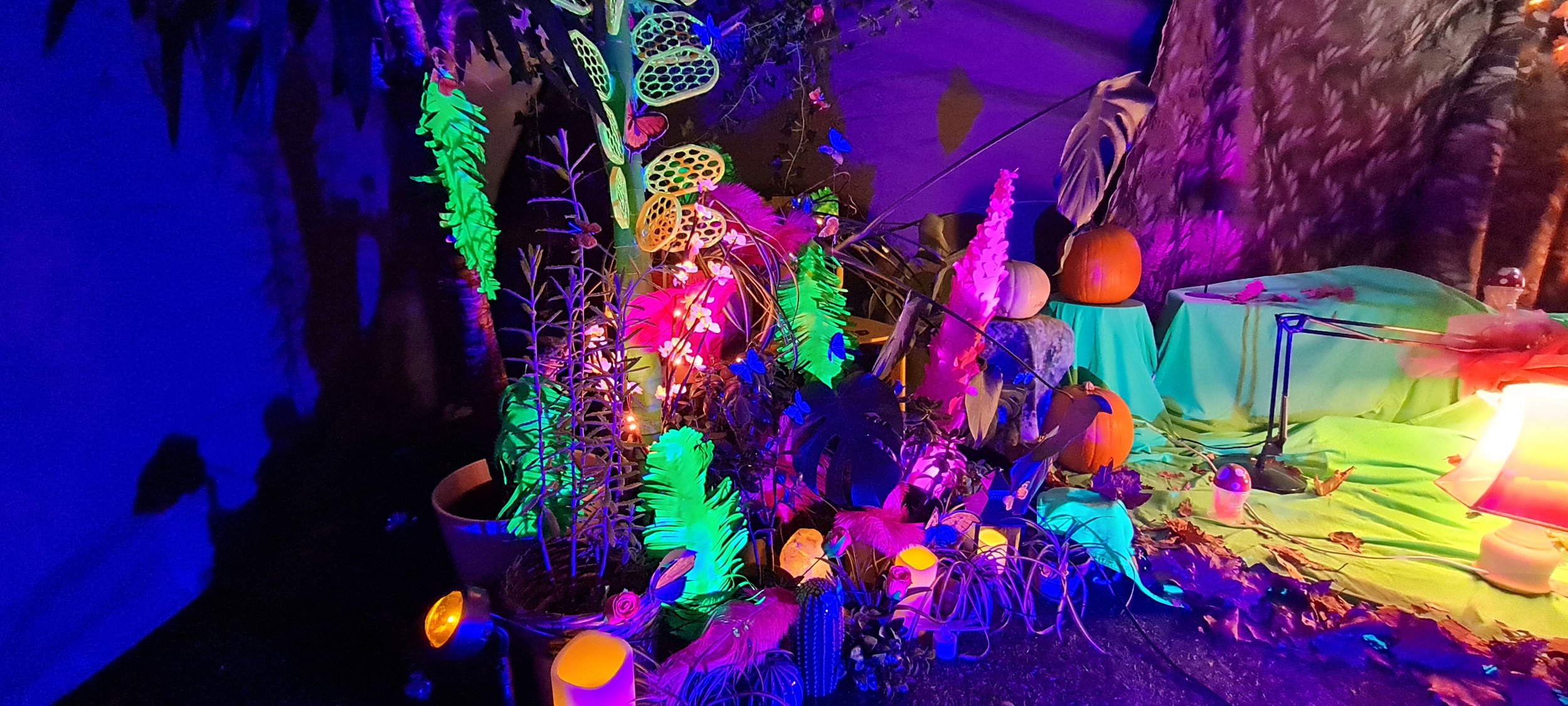 20211125_175755.jpg