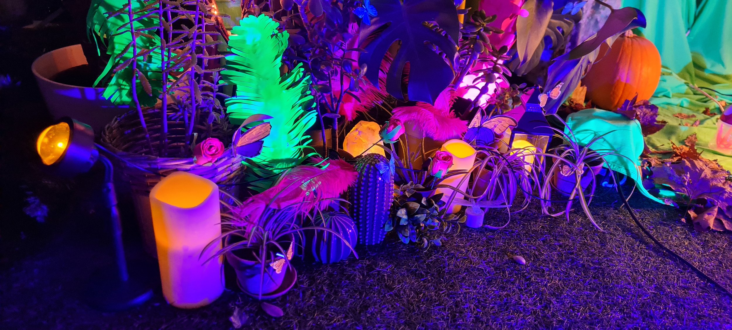 20211125_175751.jpg