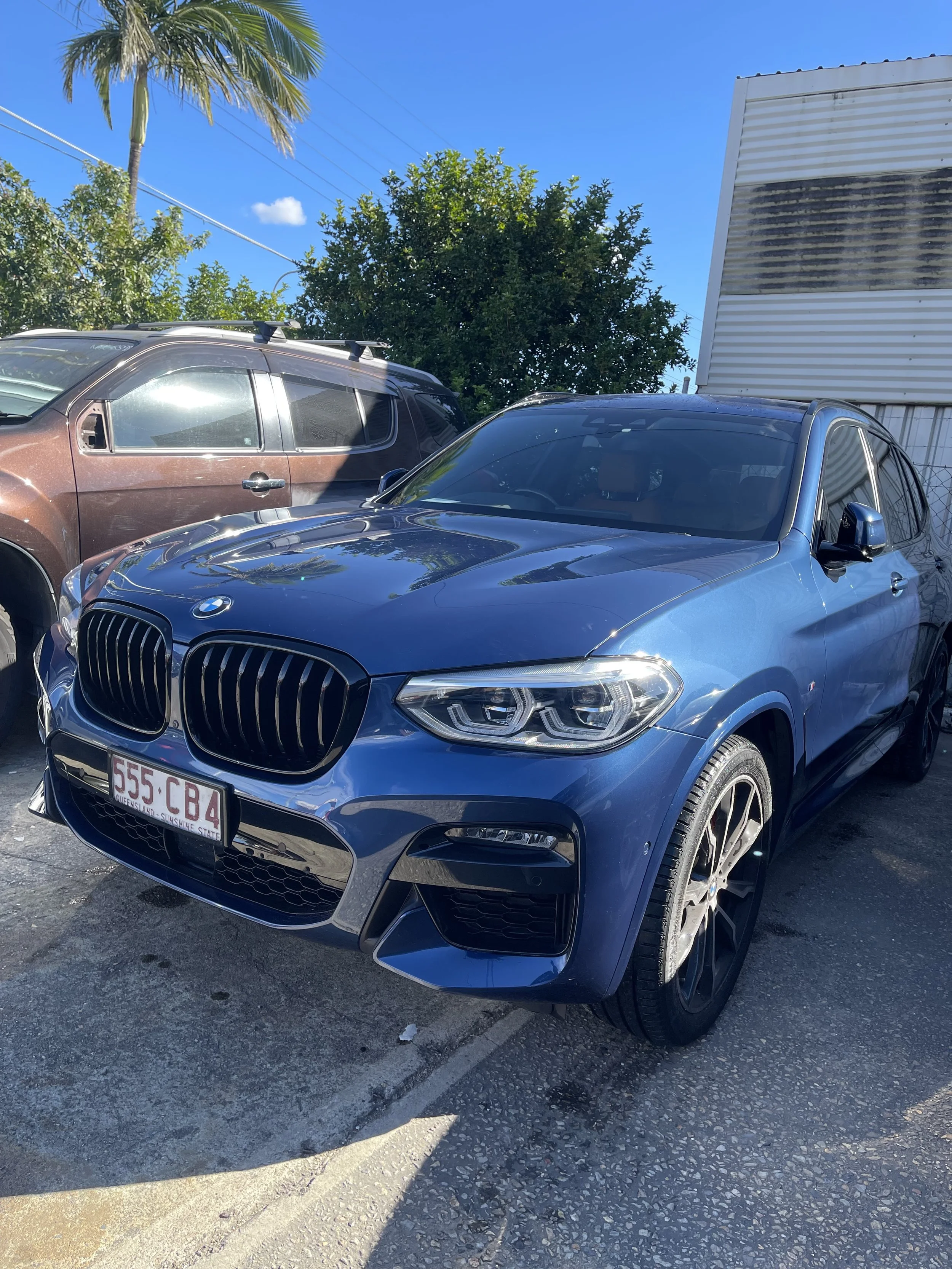 A blue BMW SUV parked in a lot next to a brown vehicle, with a clear blue sky, palm trees, green bushes, and a white building in the background.