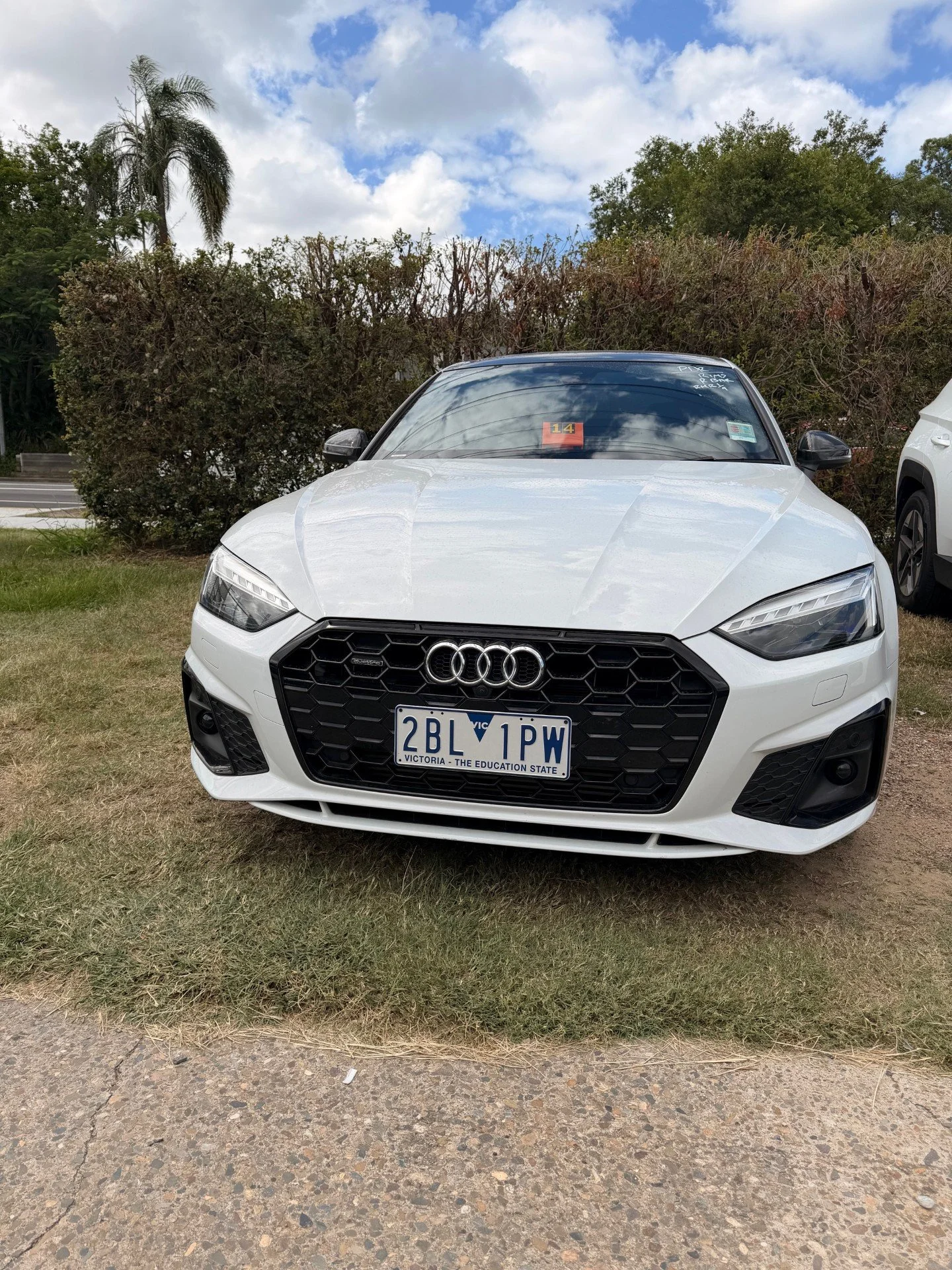 Front view of a white Audi car parked on grass next to a concrete curb with a bush and sky in the background