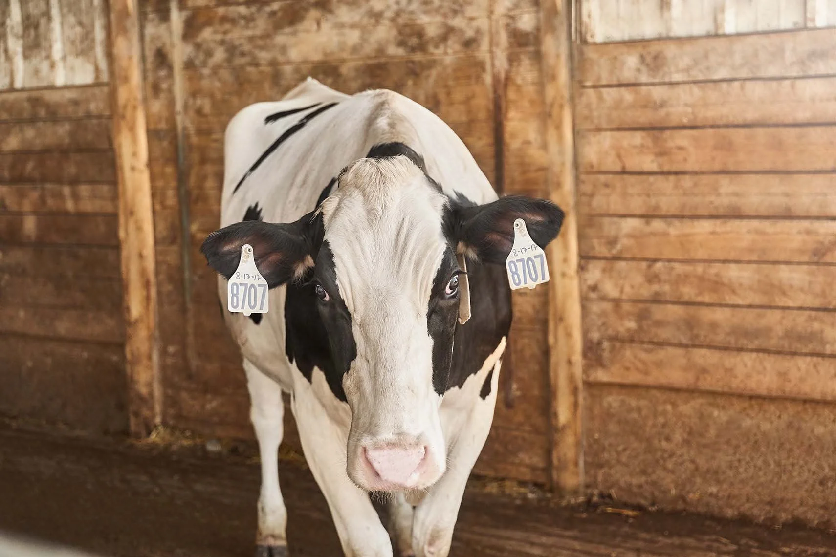 Adam Ryan Morris - Agriculture - 2-22.jpg