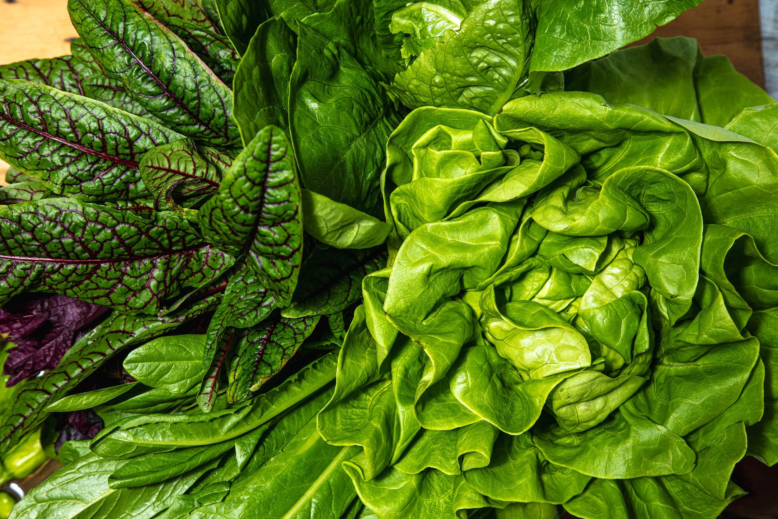 230318_TheTruffleist_Greenery__122.jpg
