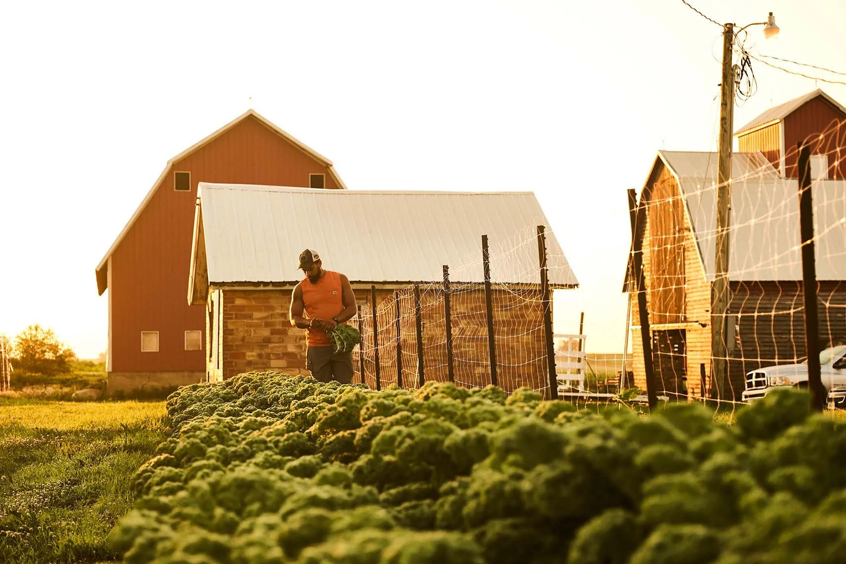 Adam Ryan Morris - Agriculture - 2-31.jpg