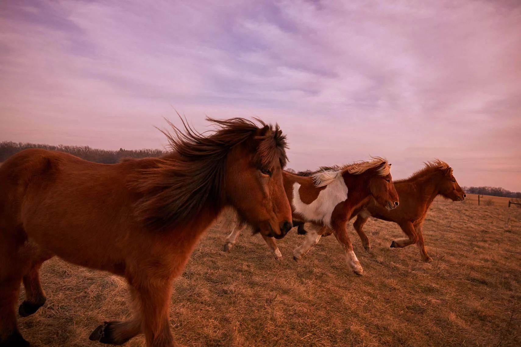 Adam Ryan Morris - Agriculture - 2-3.jpg