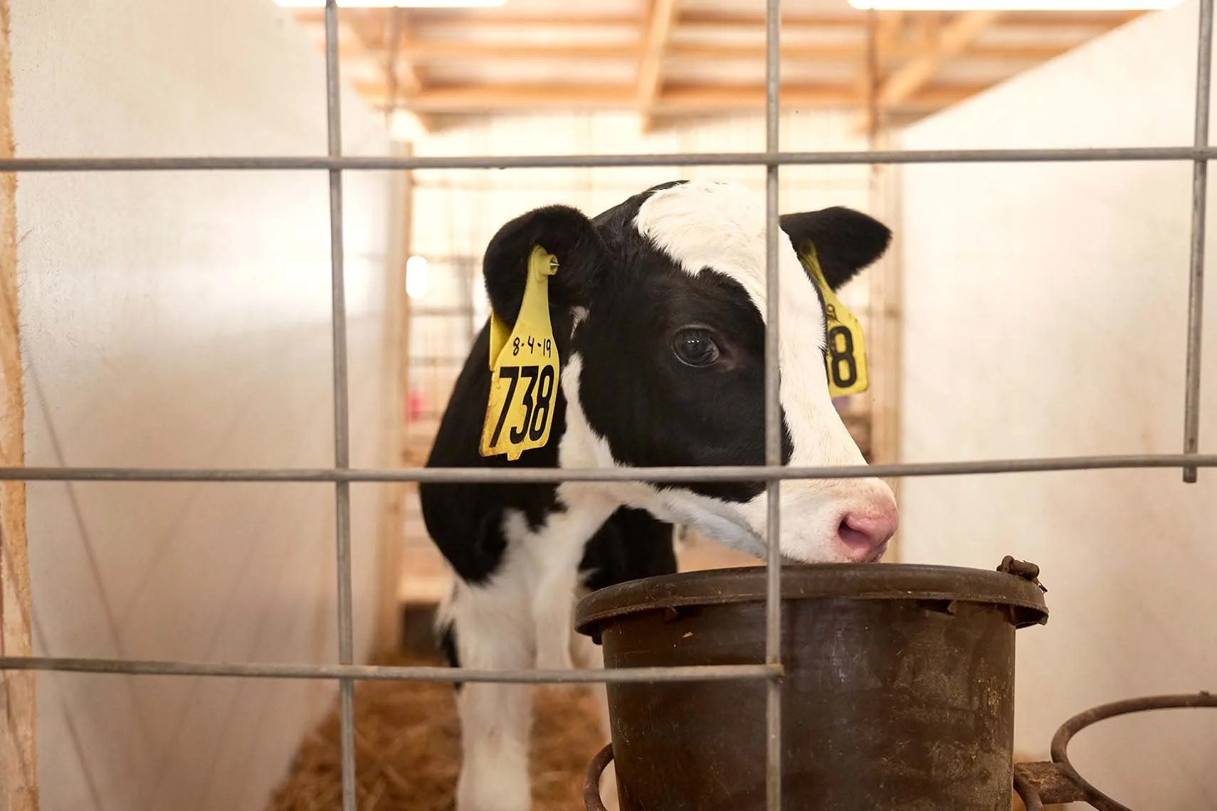 Adam Ryan Morris - Agriculture - 2-20.jpg